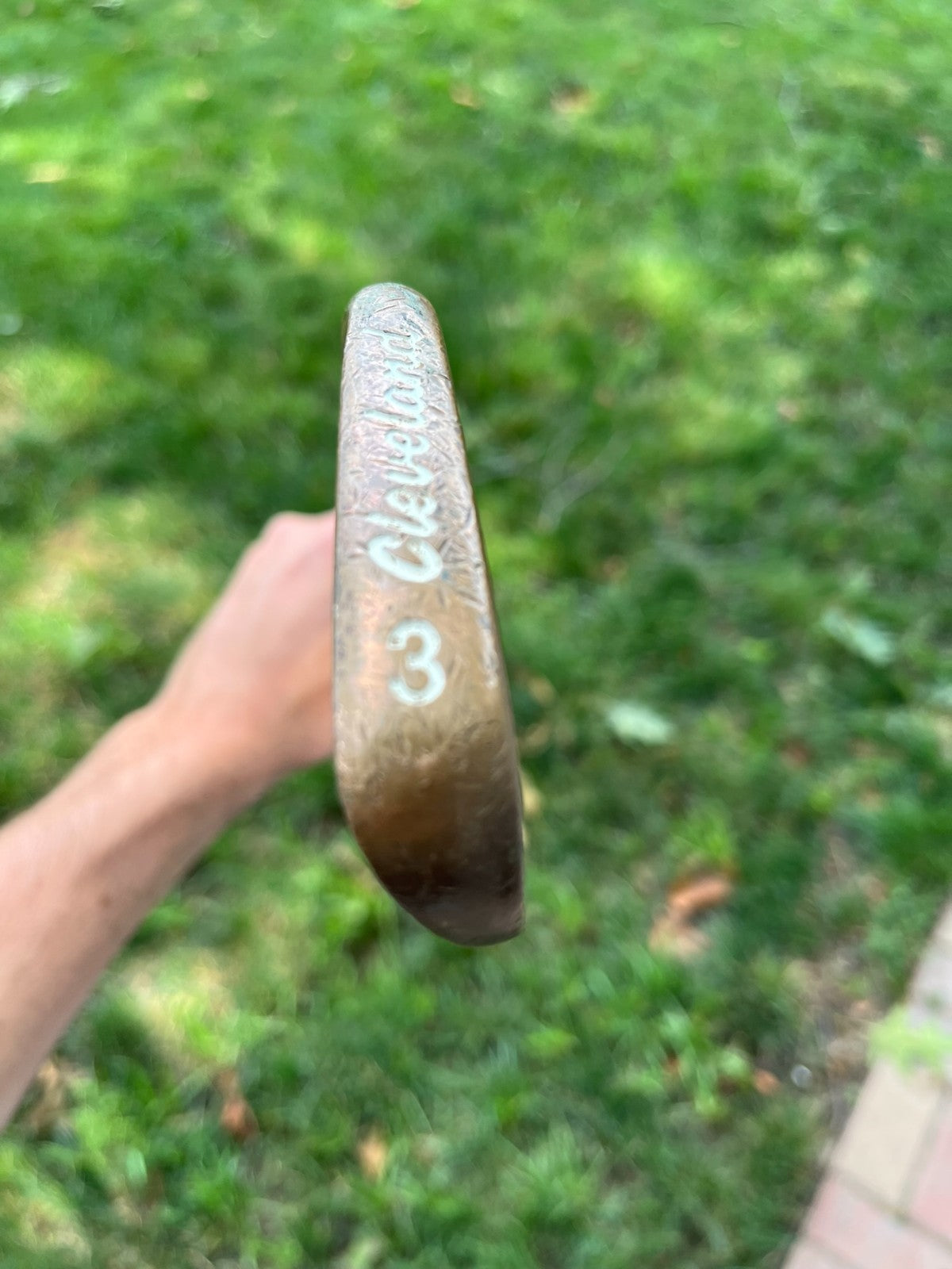 Photo of Cleveland Tour Edition 485 BeCu 3Iron DG S300 37.75