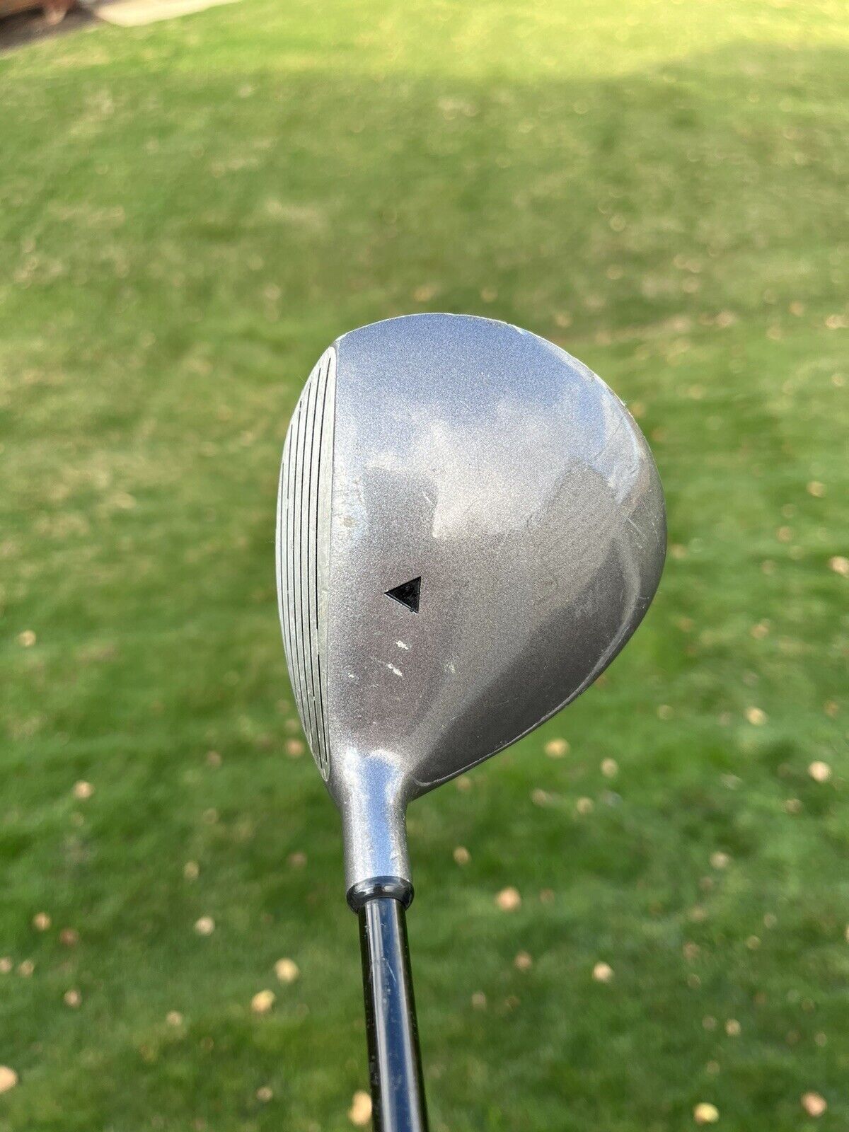 Photo of Northwestern Golf Titanium Matrix 5 Wood Graphite 41.25”
