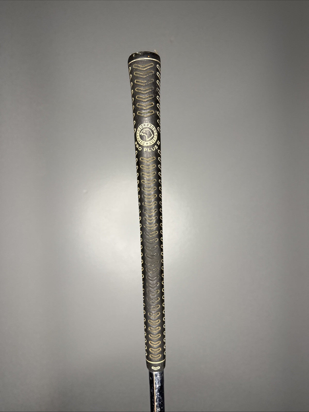 Photo of Golden Ram Camber Sole Driver True Temper TT Lite 43.5