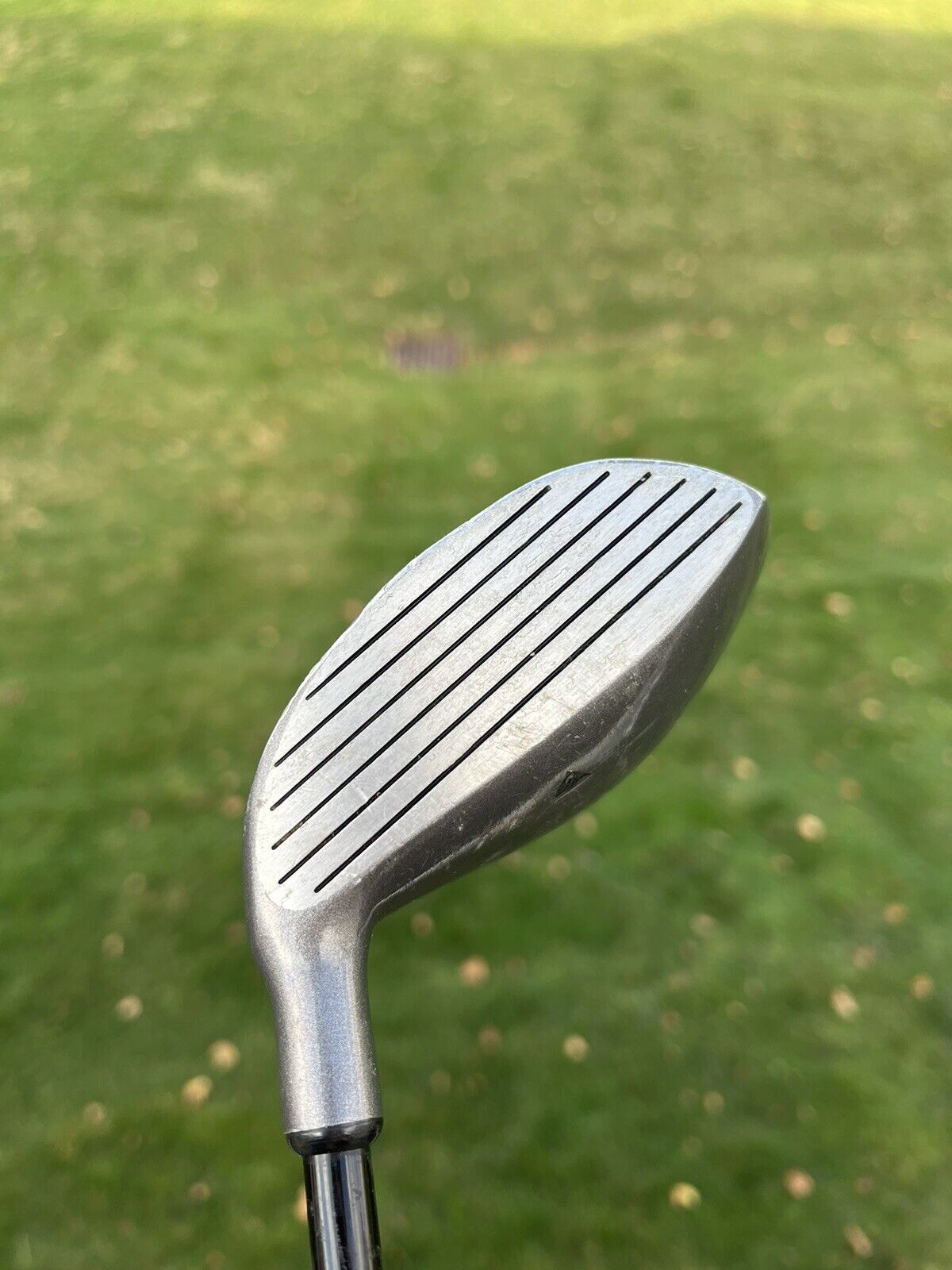 Photo of Northwestern Golf Titanium Matrix 5 Wood Graphite 41.25”