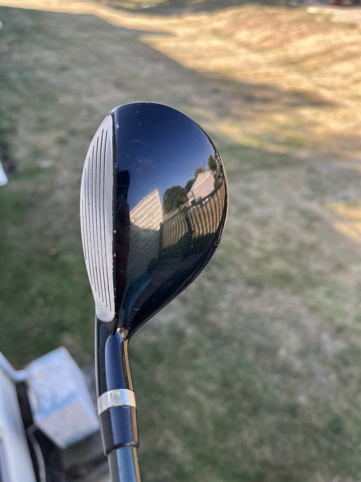 Photo of Warrior Custom Golf TCP Technology Hybrid 20 40”