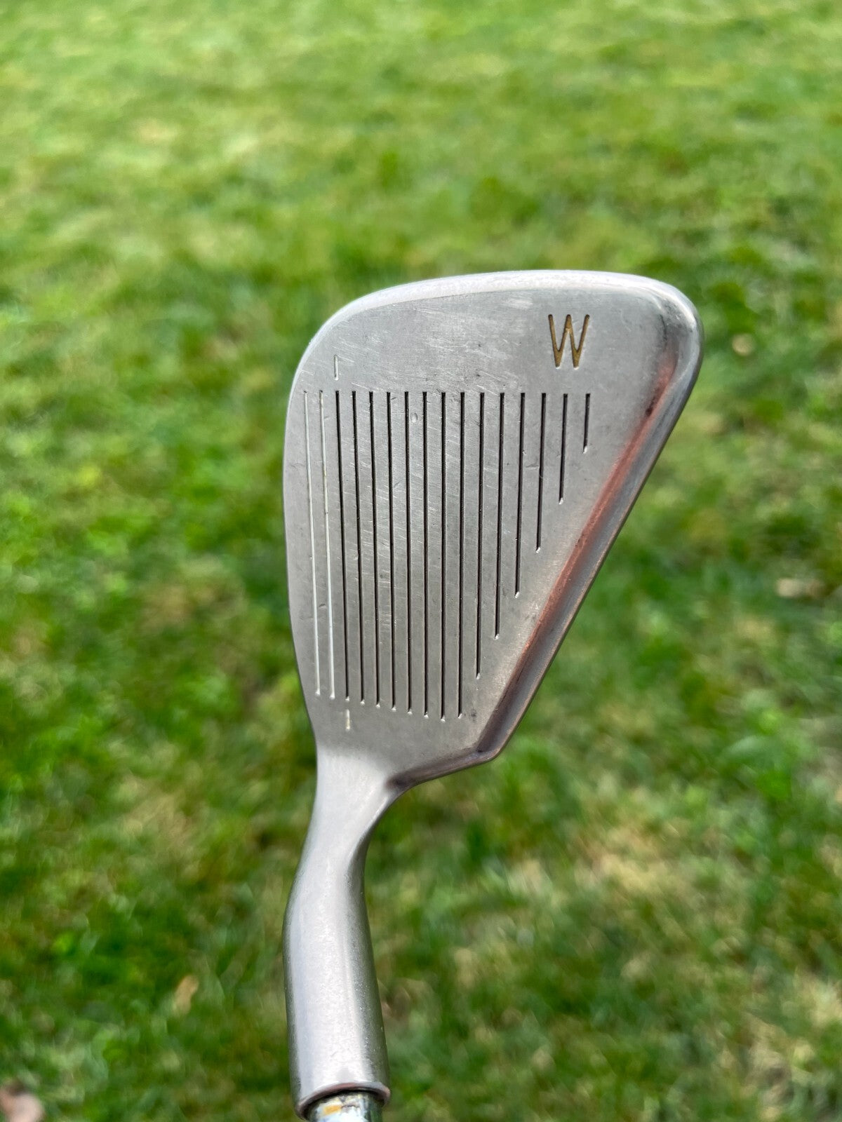 Photo of Ping ISI Nickel Gap Wedge 49.5 Blue Dot ZZ65 35