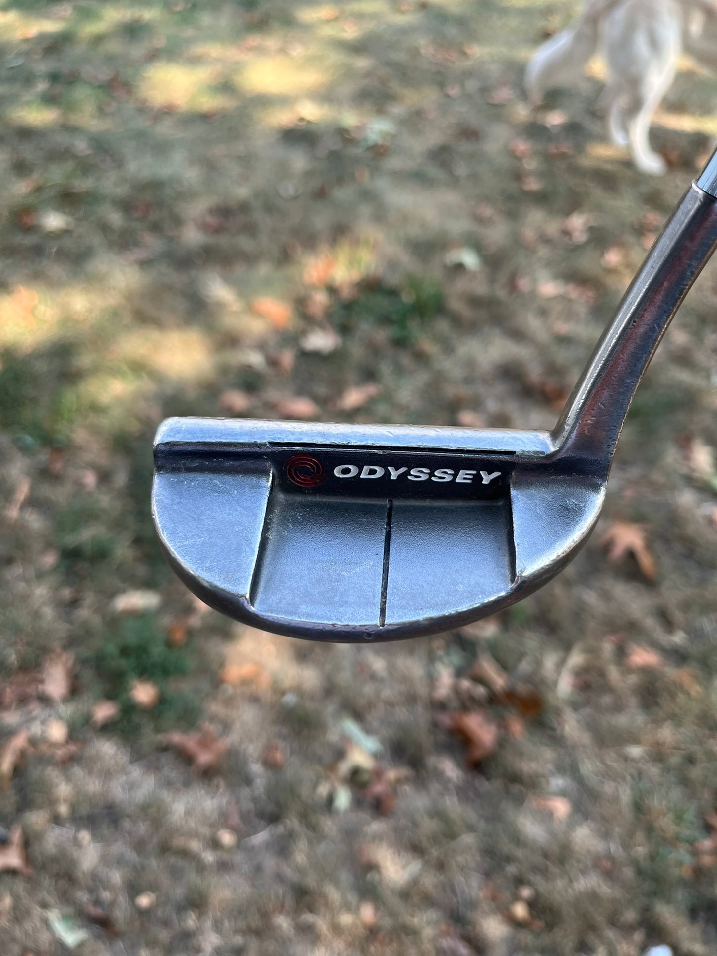 Odyssey White Ice 9 Putter Lefty 34″