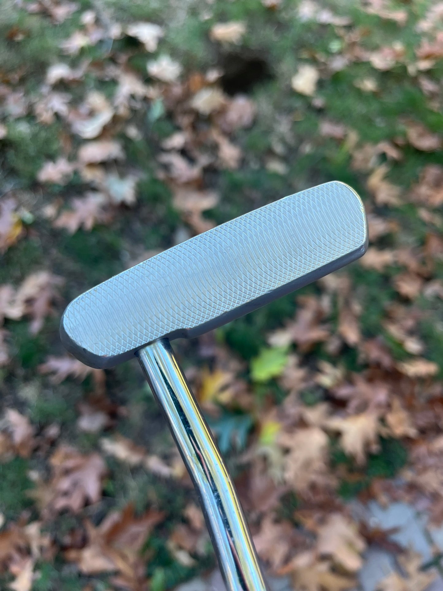 Cobra Mallet Putter 33″