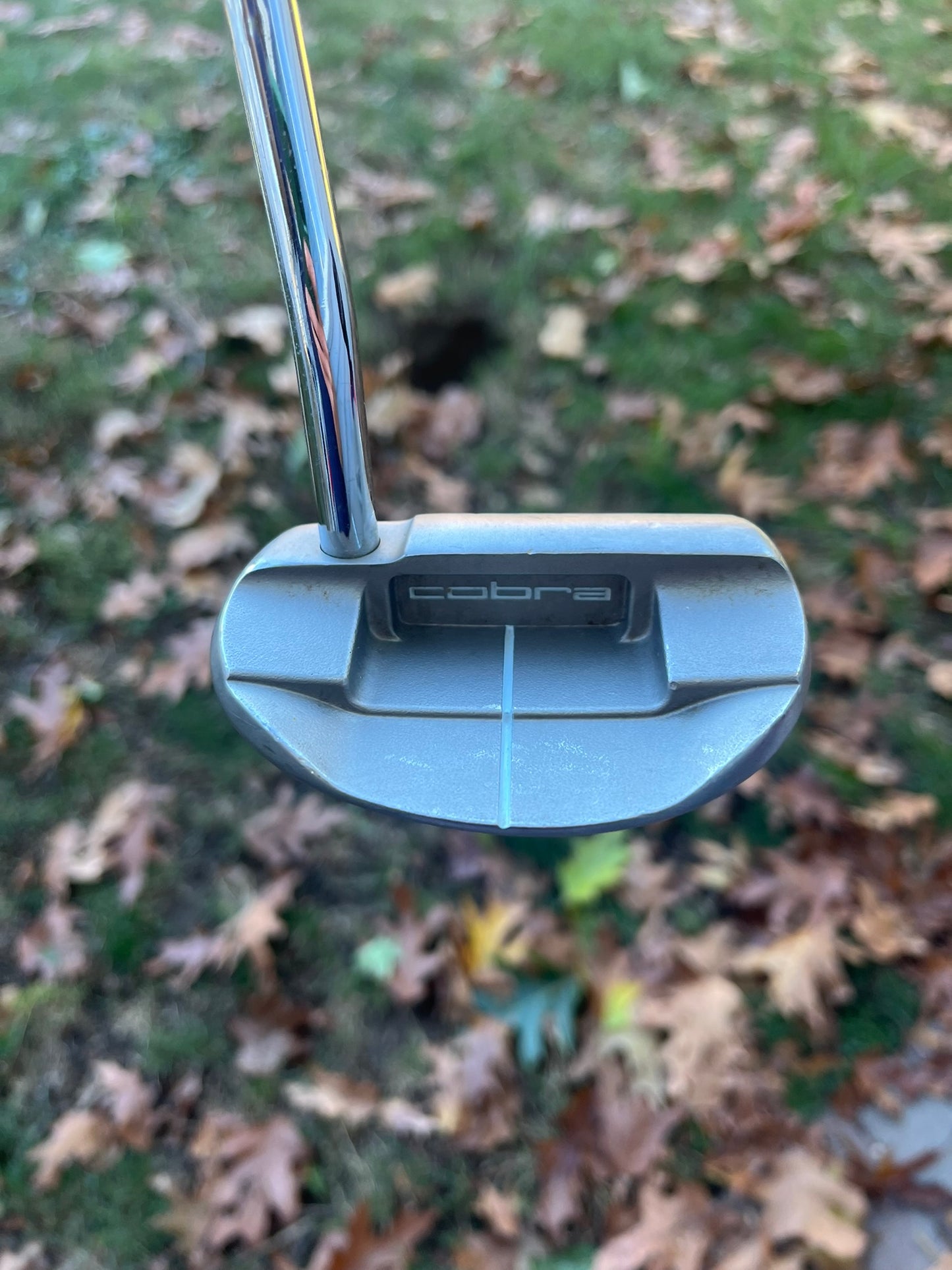 Cobra Mallet Putter 33″