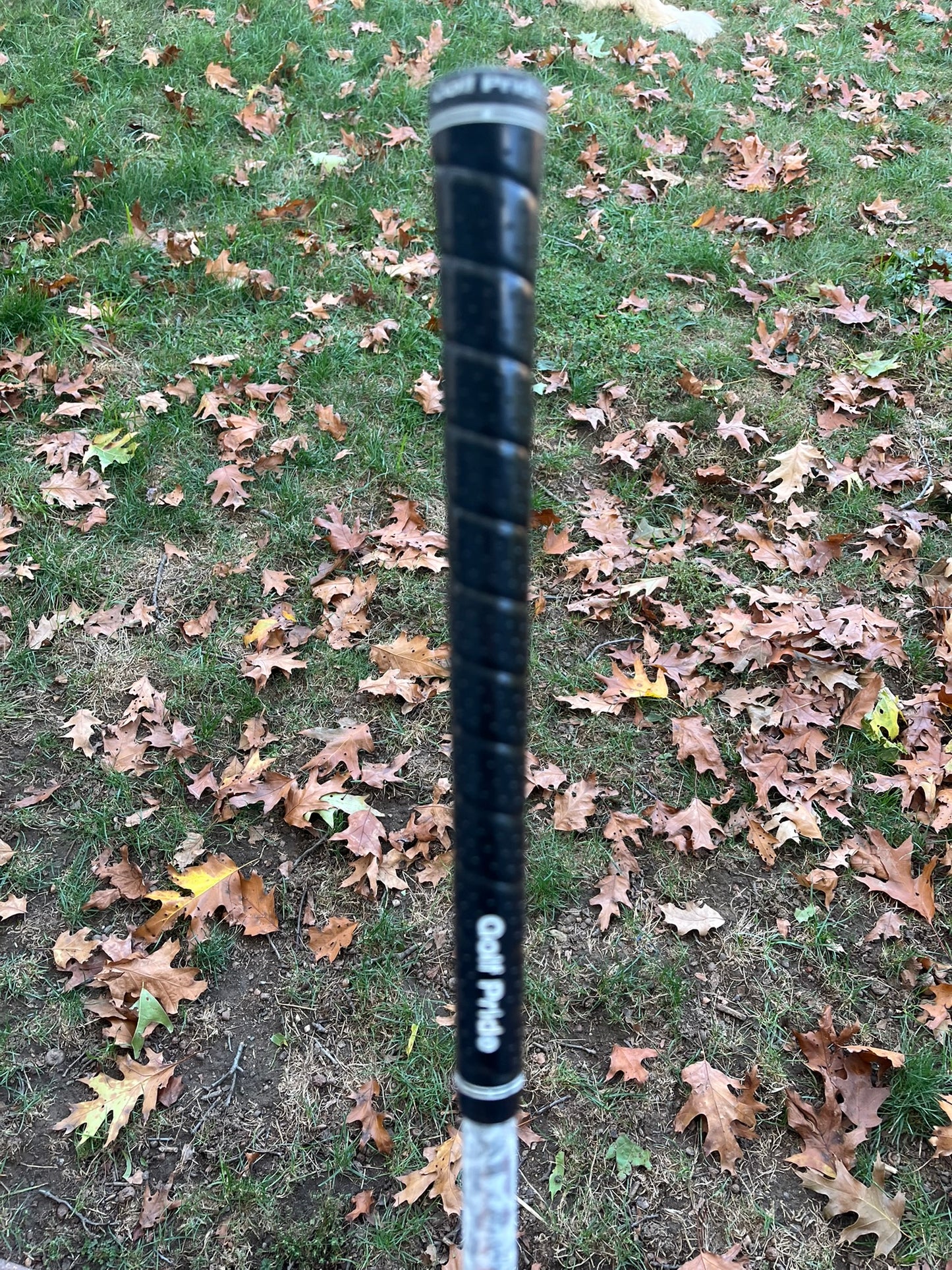 Callaway Elyte 7-Wood 21° Denali 60 Stiff Flex 41″ +HC NICE