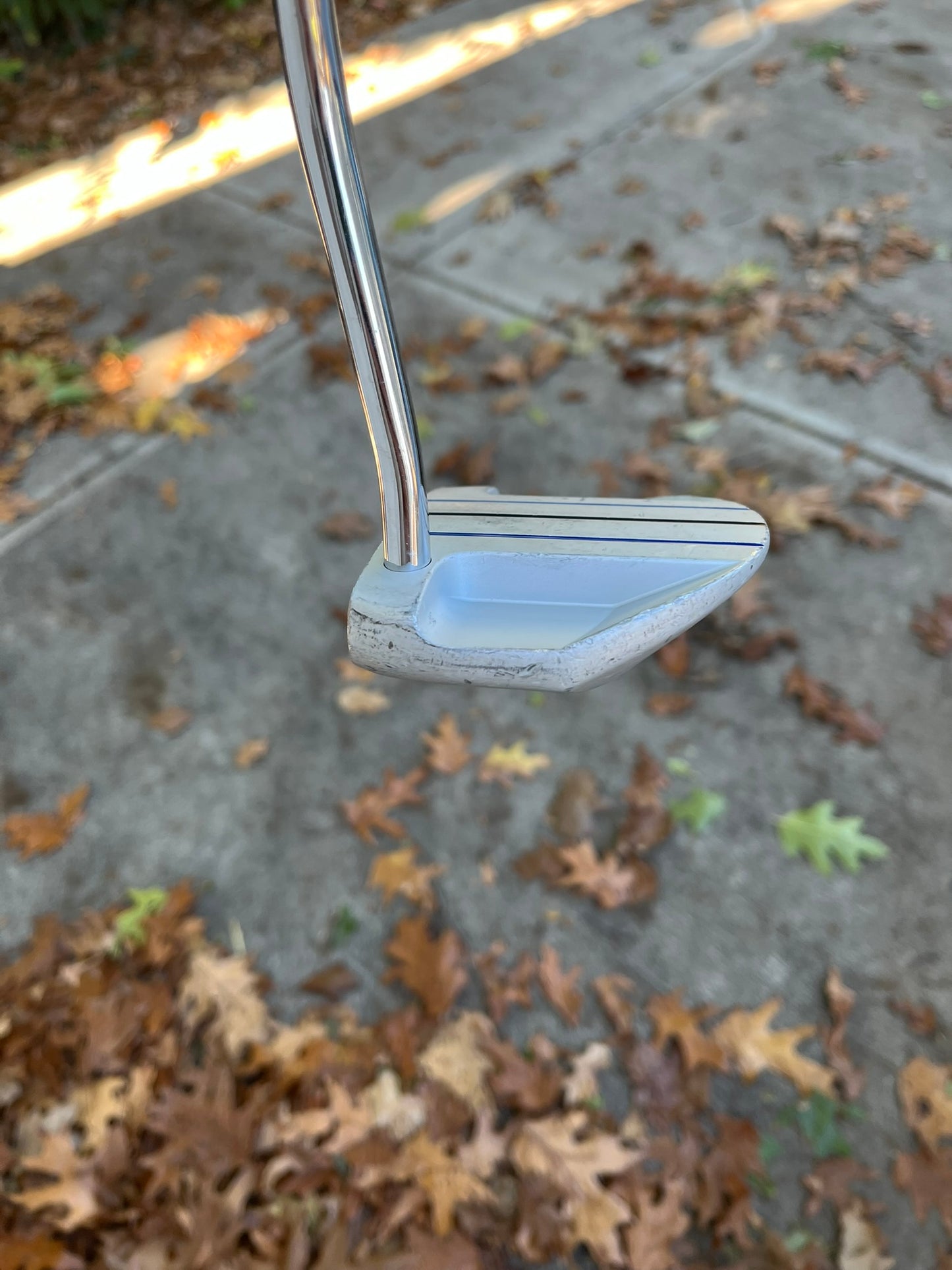 XXIO MI-8000 Putter 33.75″ +HC