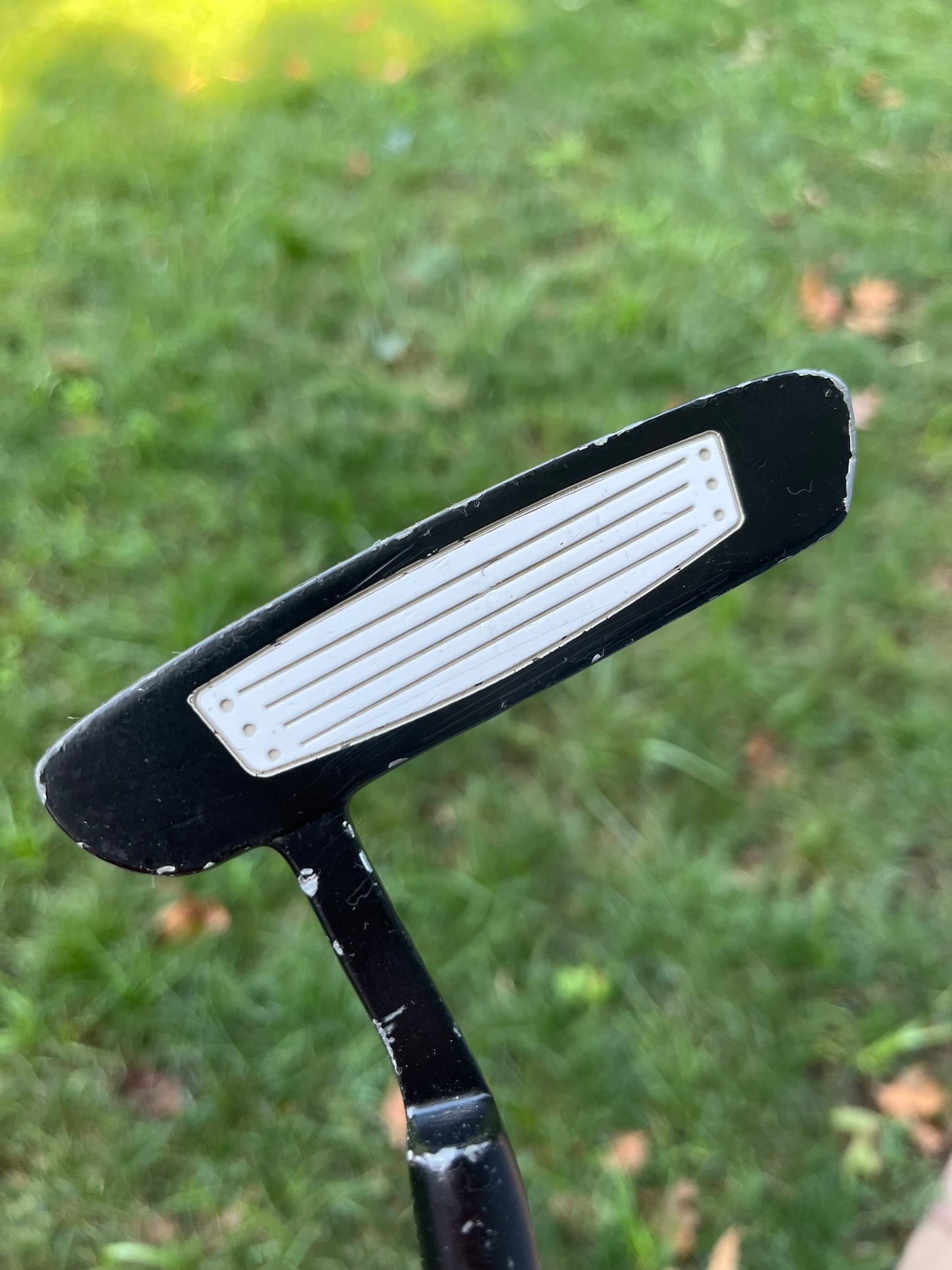 Photo of PowerBilt Pro Power Putter