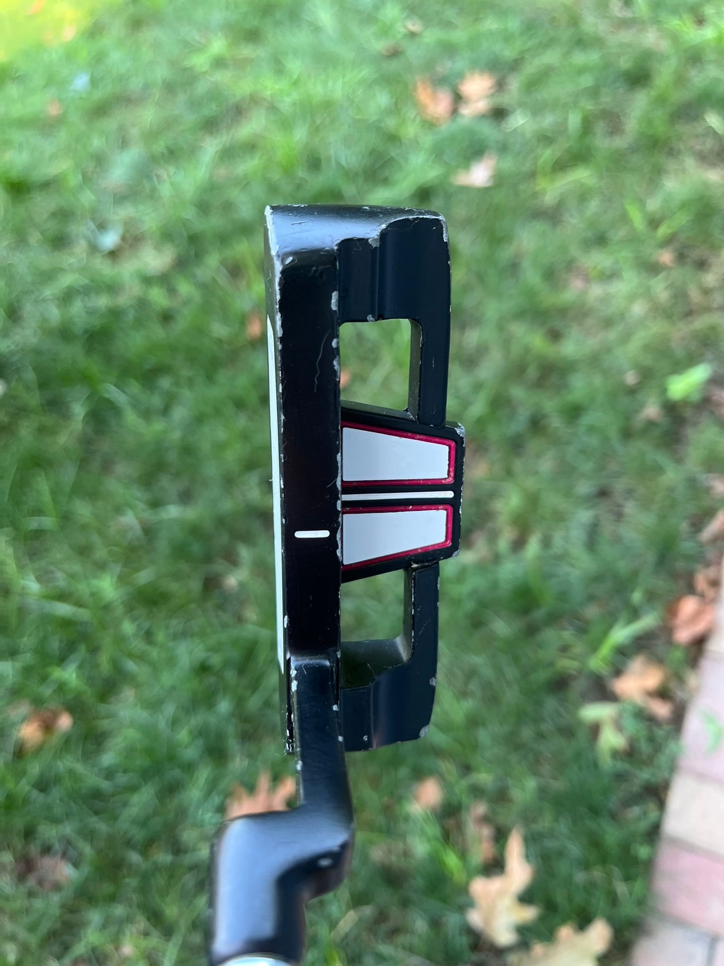 Photo of PowerBilt Pro Power Putter