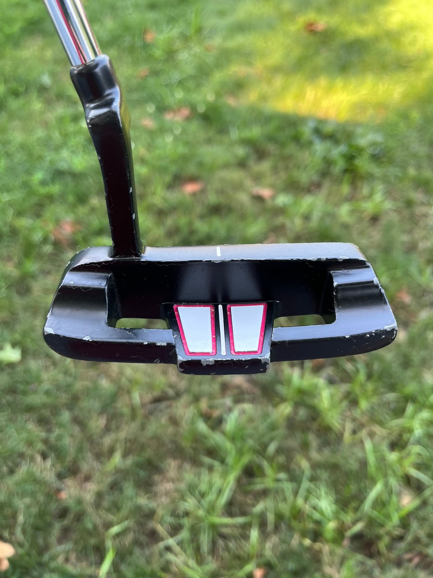Photo of PowerBilt Pro Power Putter