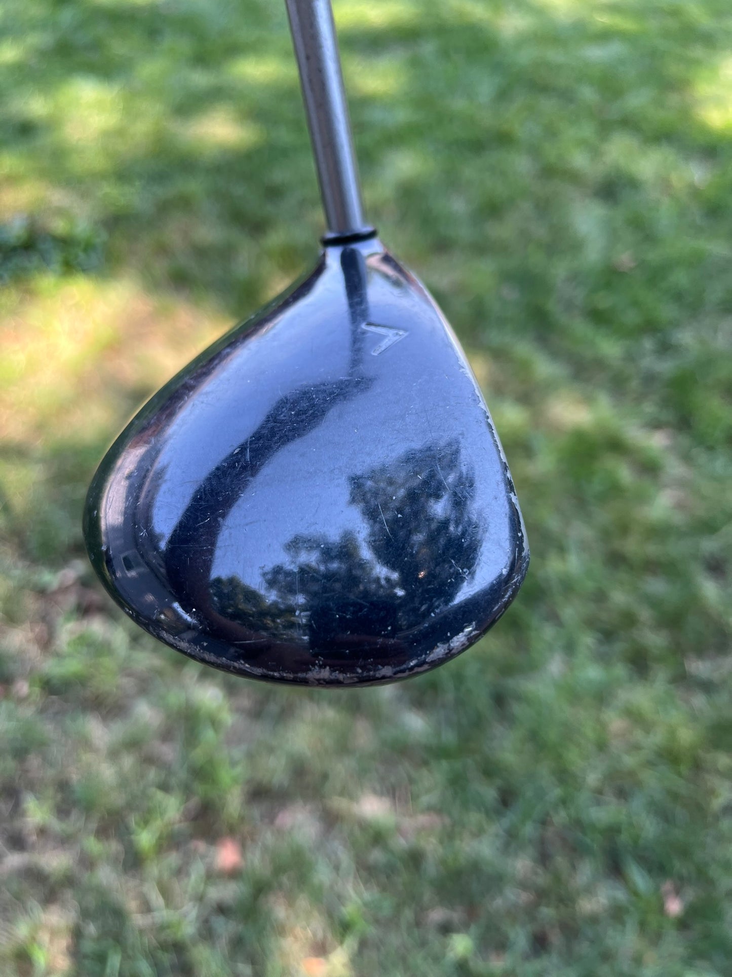 Photo of Callaway Big Bertha Steelhead Plus Driver 10° Regular Flex