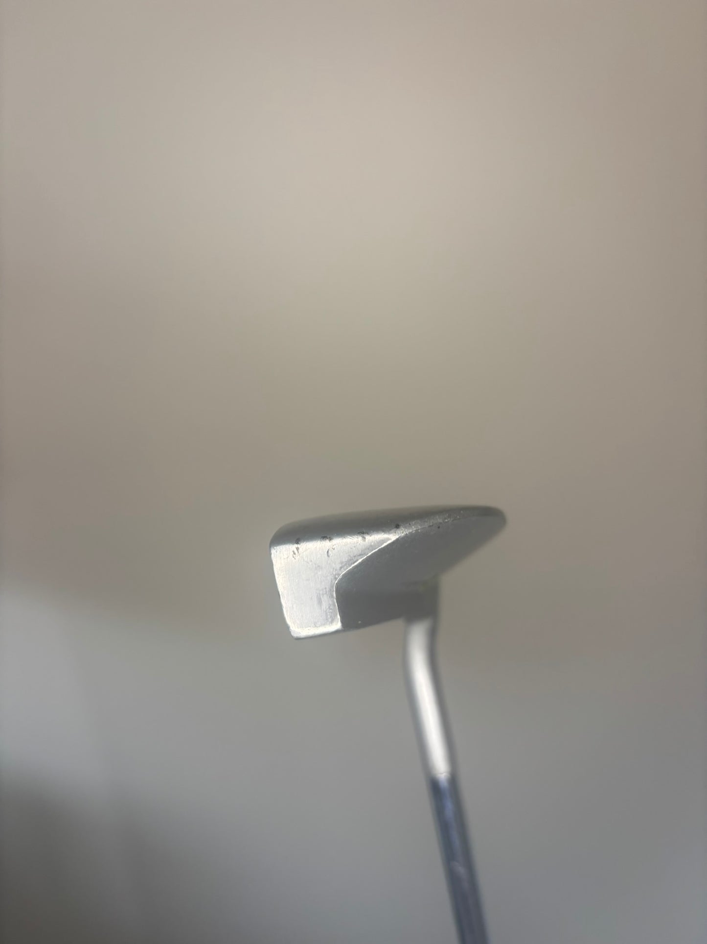 Photo of La Jolla Lady Accent Blade Putter Steel Shaft