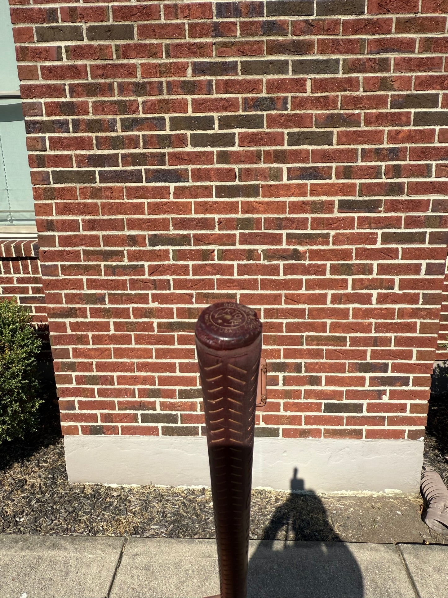 Photo of Yamaha Bio Tech Driver Regular Flex