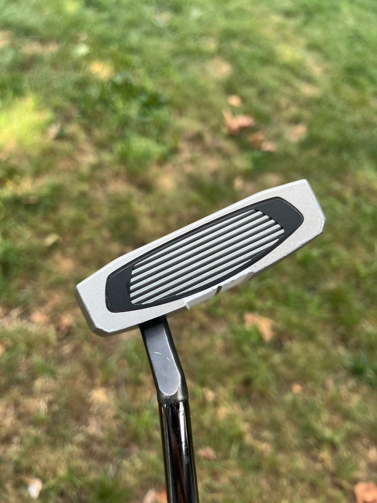 Photo of Taylormade Spider GT Max Putter