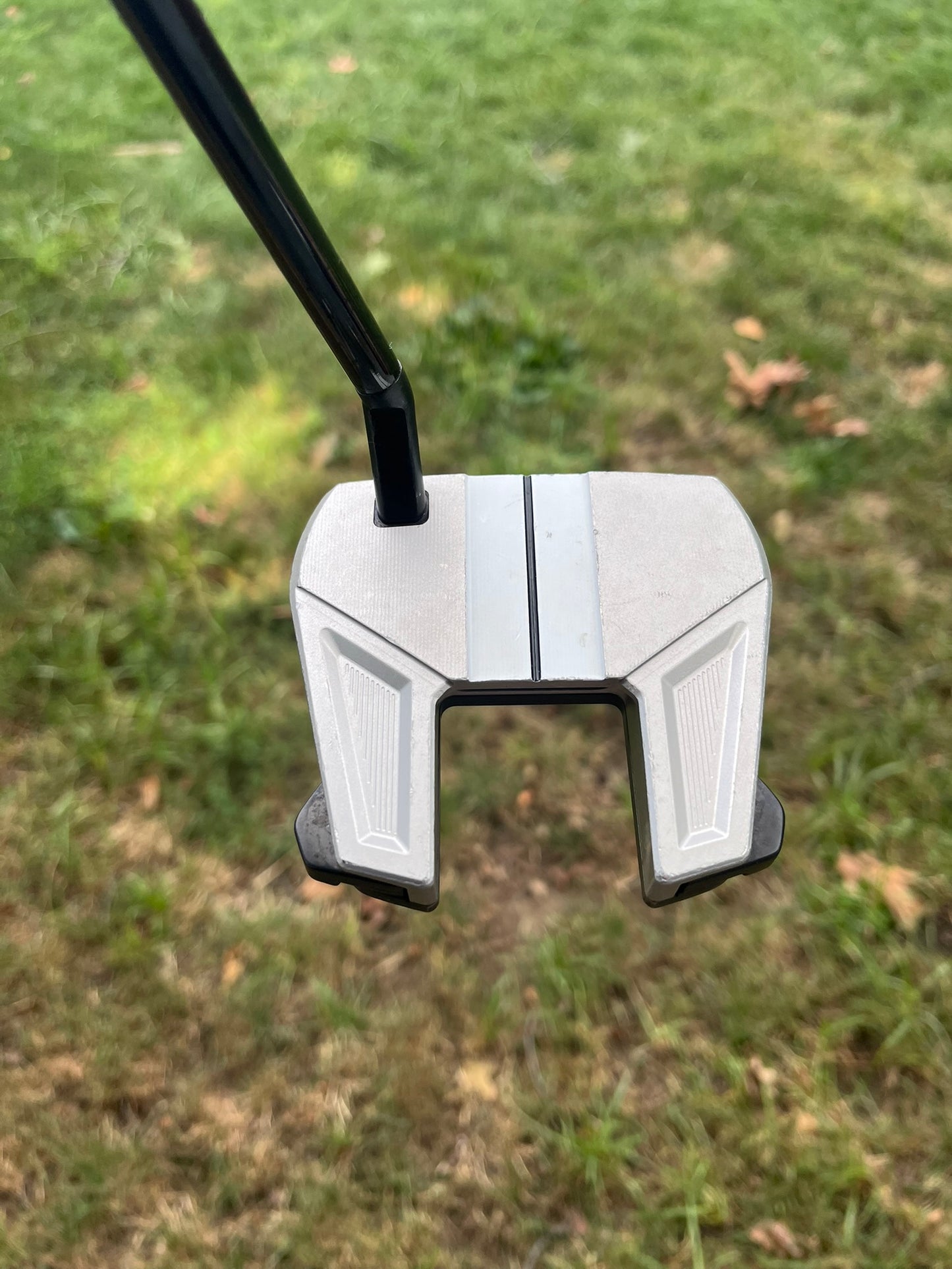 Photo of Taylormade Spider GT Max Putter