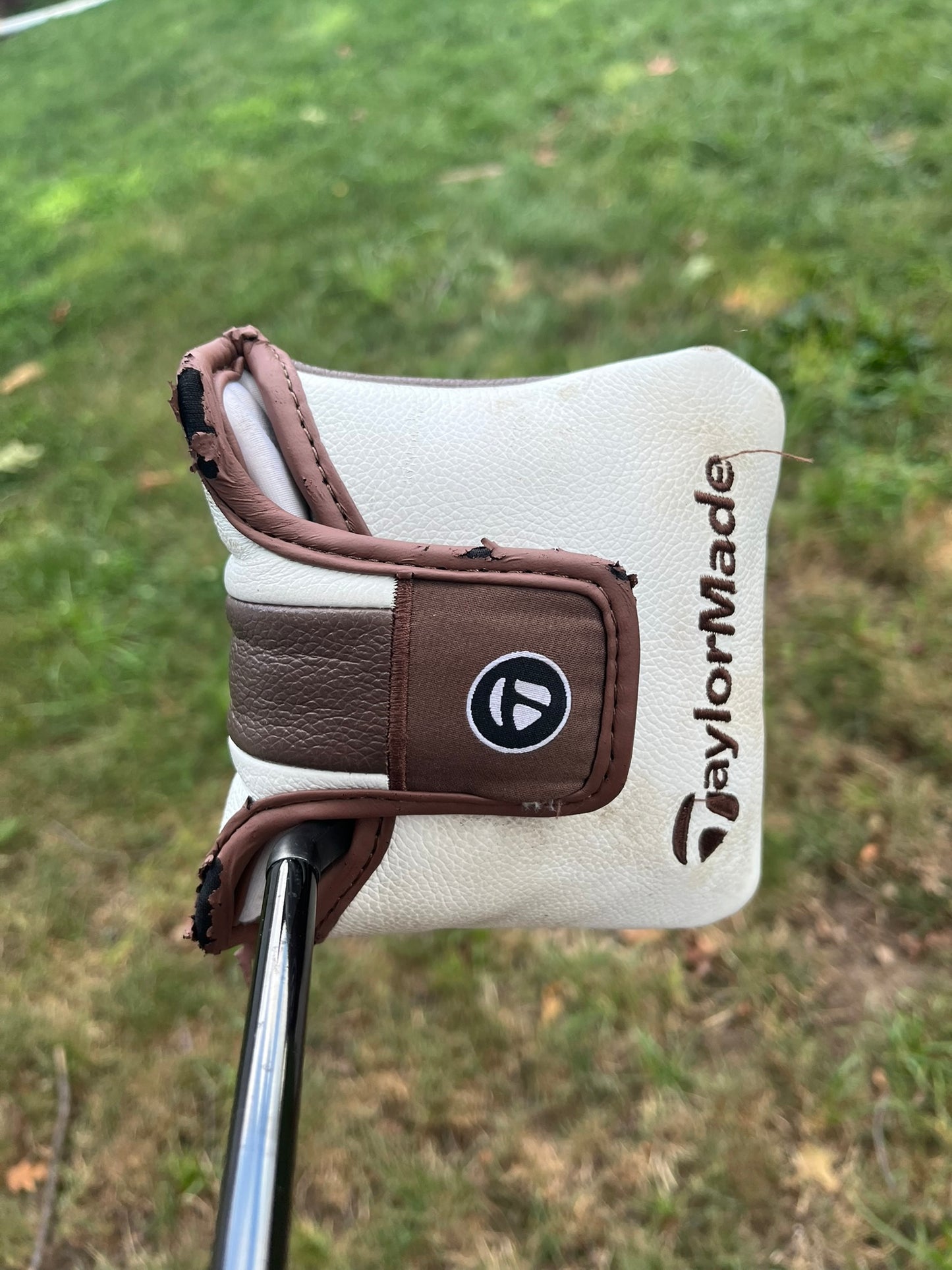 Photo of Taylormade Spider GT Max Putter