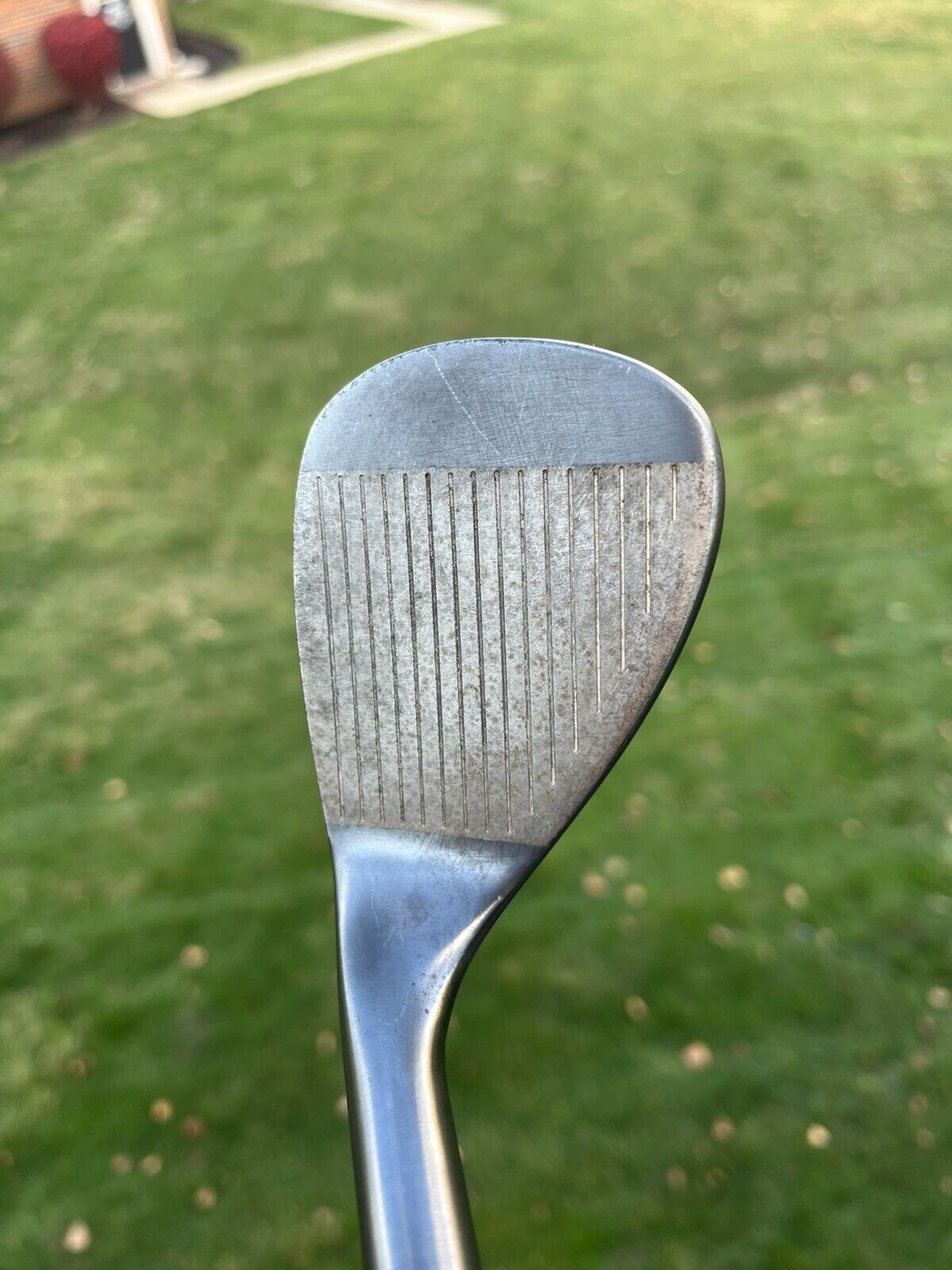 Warrior Custom Golf Lob Wedge 60° Wedge Flex Steel 35.25”