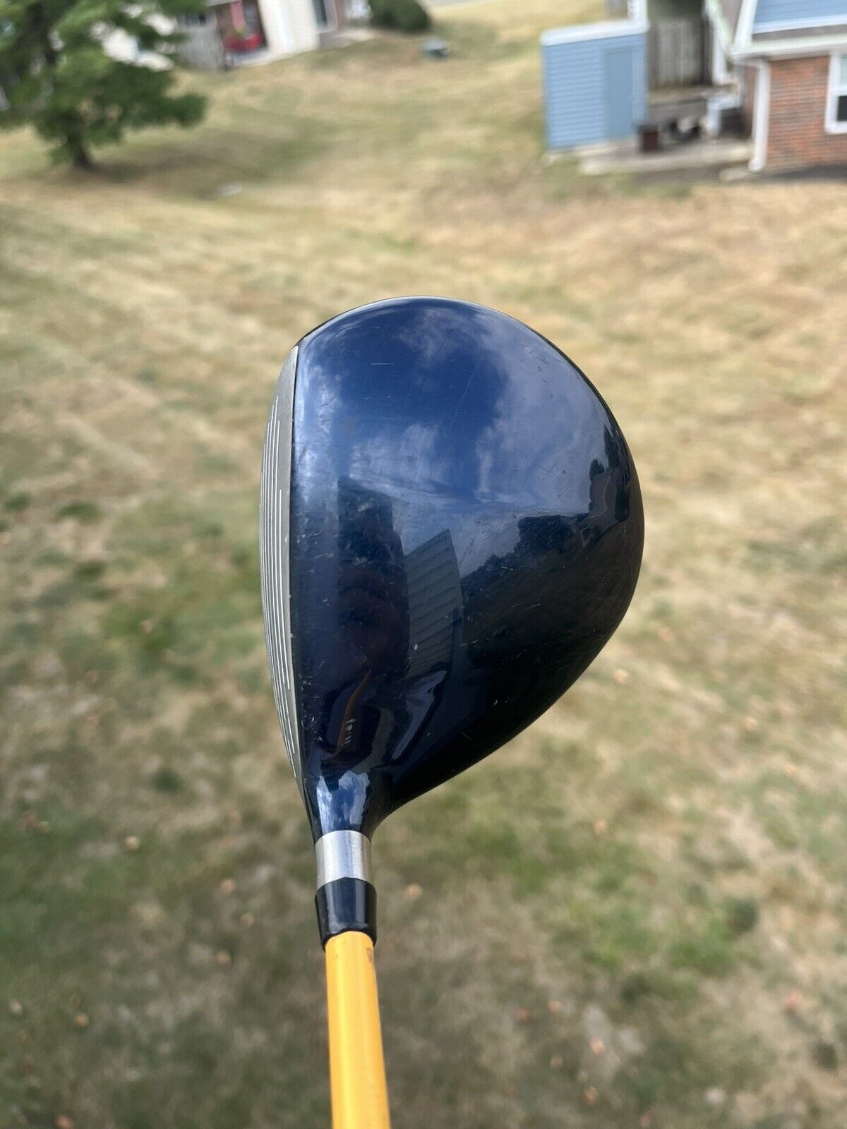 Mizuno T-Zoid Blue Rage 310 Driver 9° Proforce Gold Regular Flex