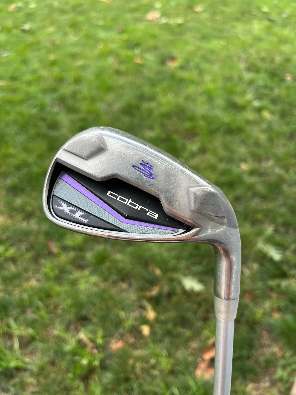 Photo of Cobra XL Womens 8Iron 36