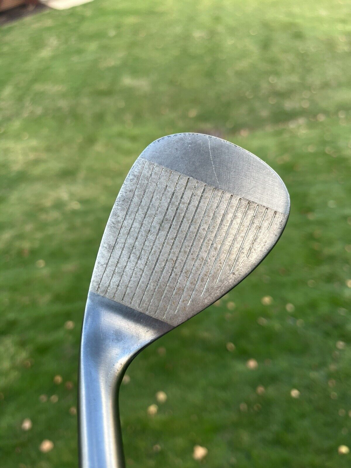 Warrior Custom Golf Lob Wedge 60° Wedge Flex Steel 35.25”