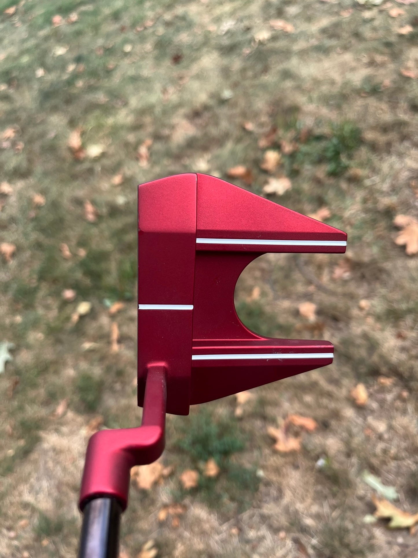 Toulon Las Vegas Red Xander Limited Putter 34.5″ +HC MINT