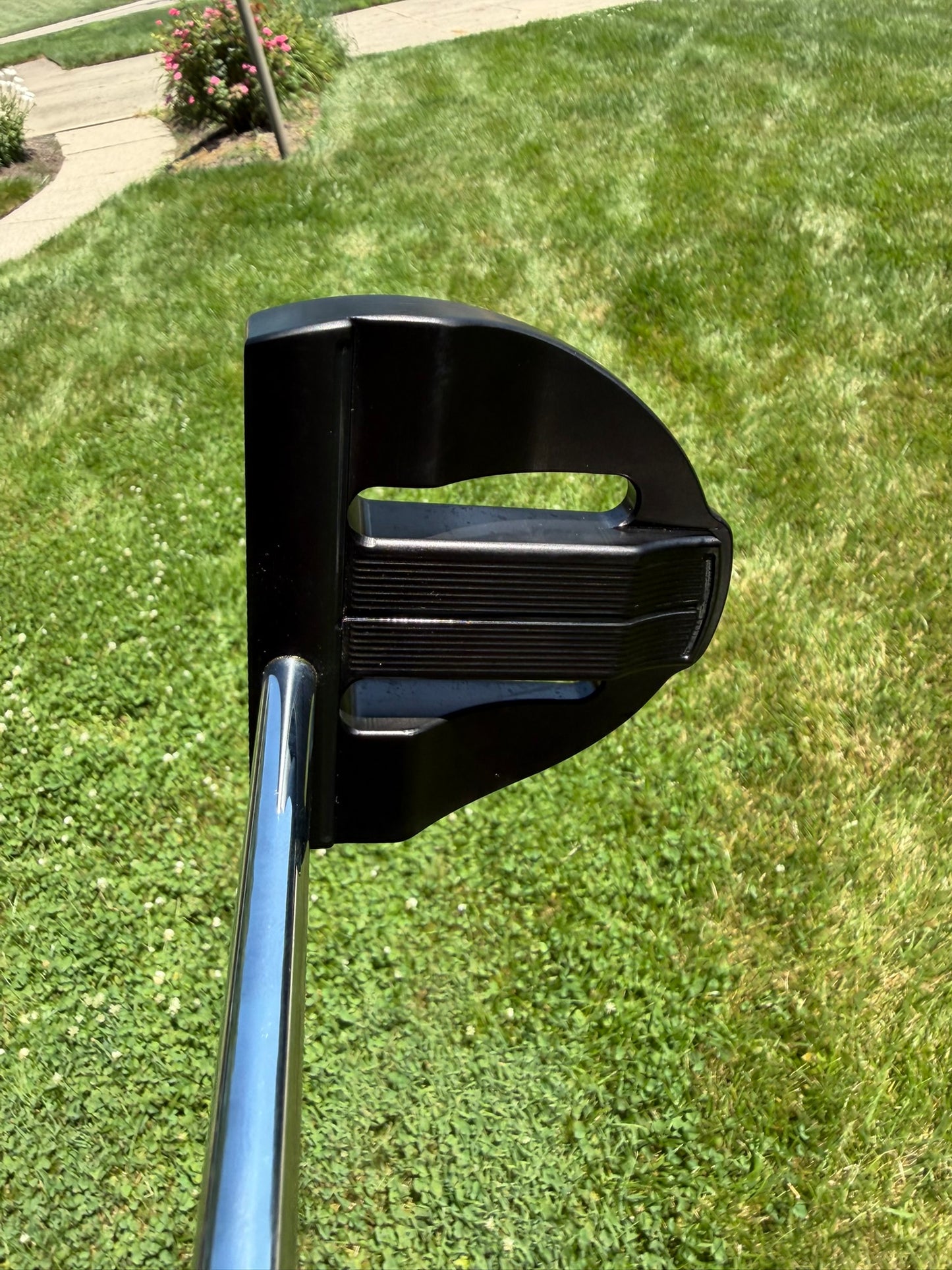 Scotty Cameron Select Big Sur S Long Fitting Putter Adjustable 46-52" +HC