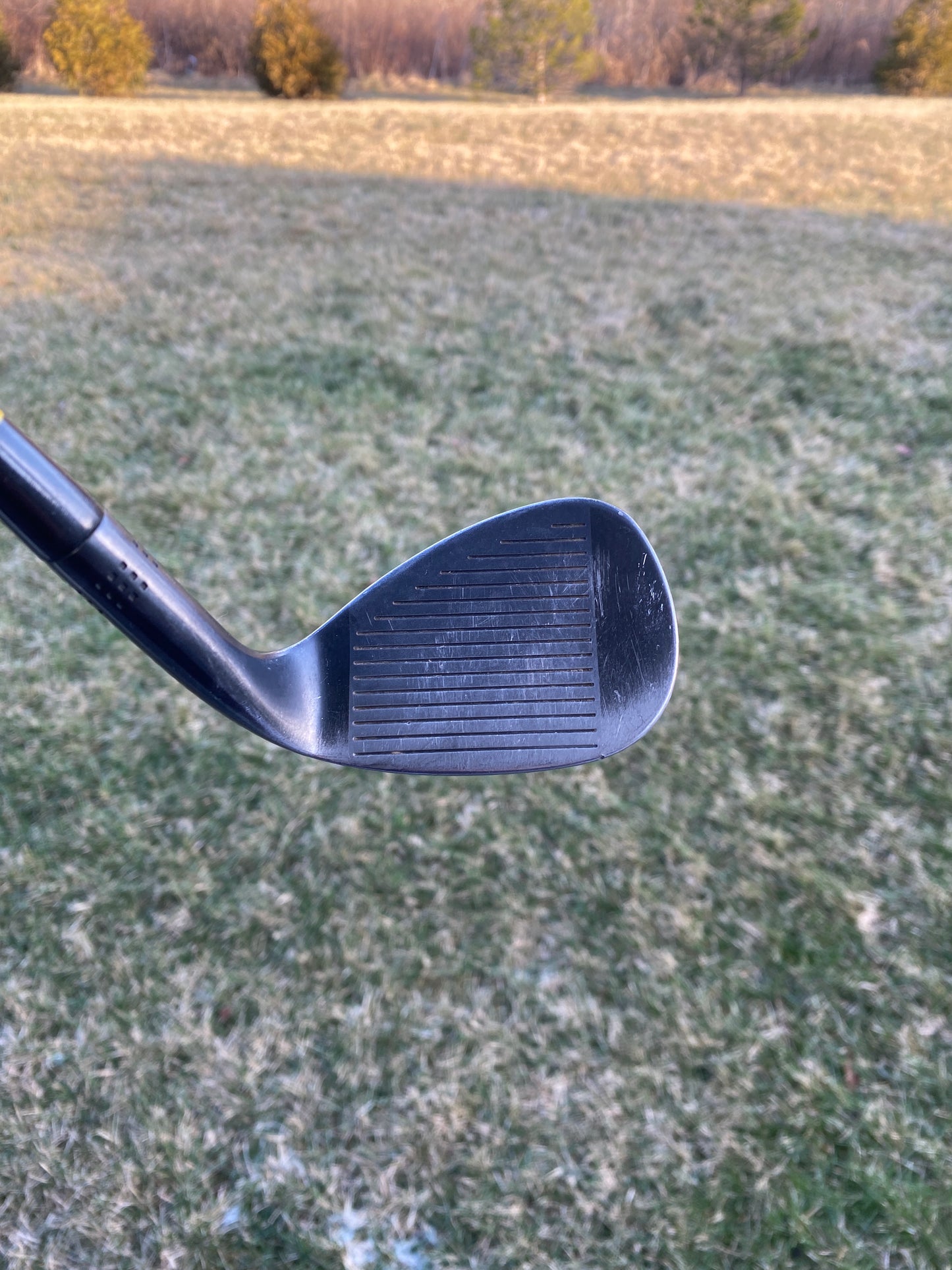 Photo of Adams Tom Watson PVD Sand Wedge 56° Wedge Flex Factory