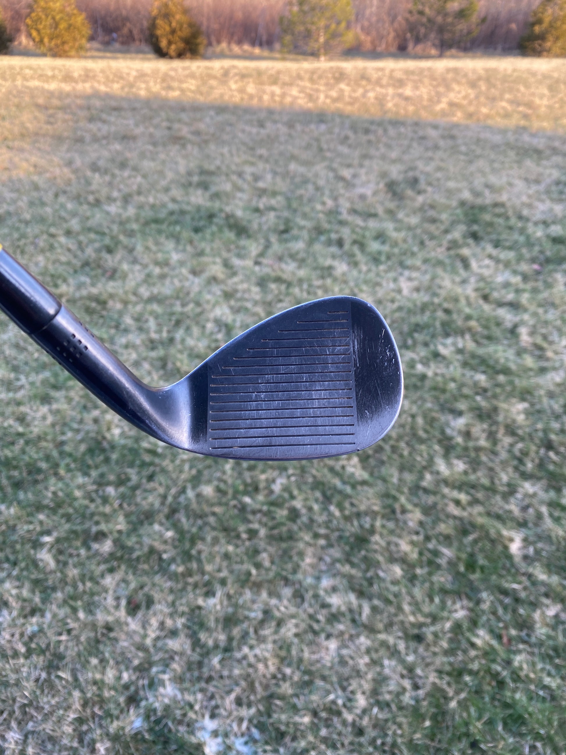 Photo of Adams Tom Watson PVD Sand Wedge 56° Wedge Flex Factory
