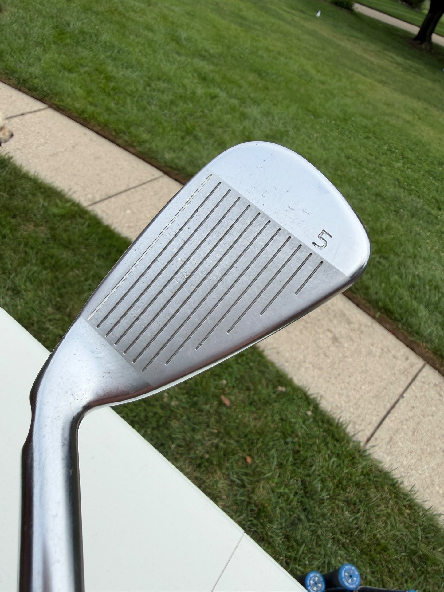 Ping G425 Power Spec Iron Set 5-PW Green Dot DG S300 Stiff Flex +3/4" NICE — photo 9