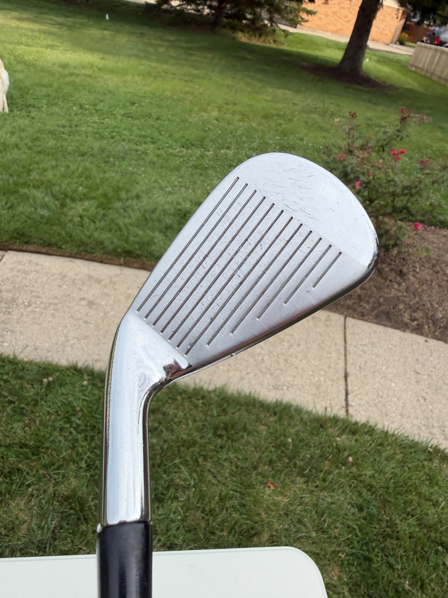 Titleist 710 AP2 Iron Set 3-PW Project X Rifle 5.5 Regular Flex +1/2" NICE — photo 7