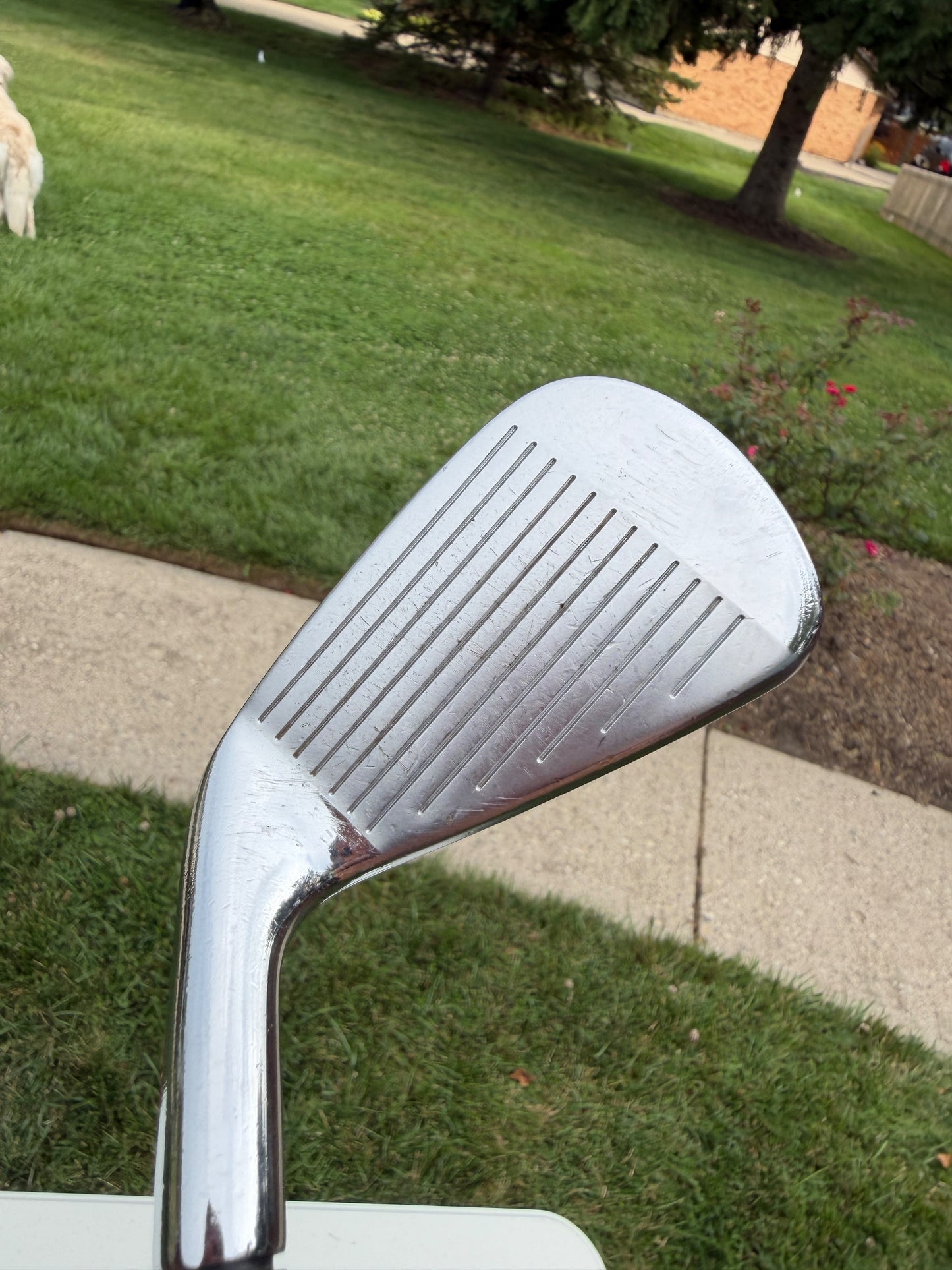 Titleist 710 AP2 Iron Set 3-PW Project X Rifle 5.5 Regular Flex +1/2" NICE — photo 8