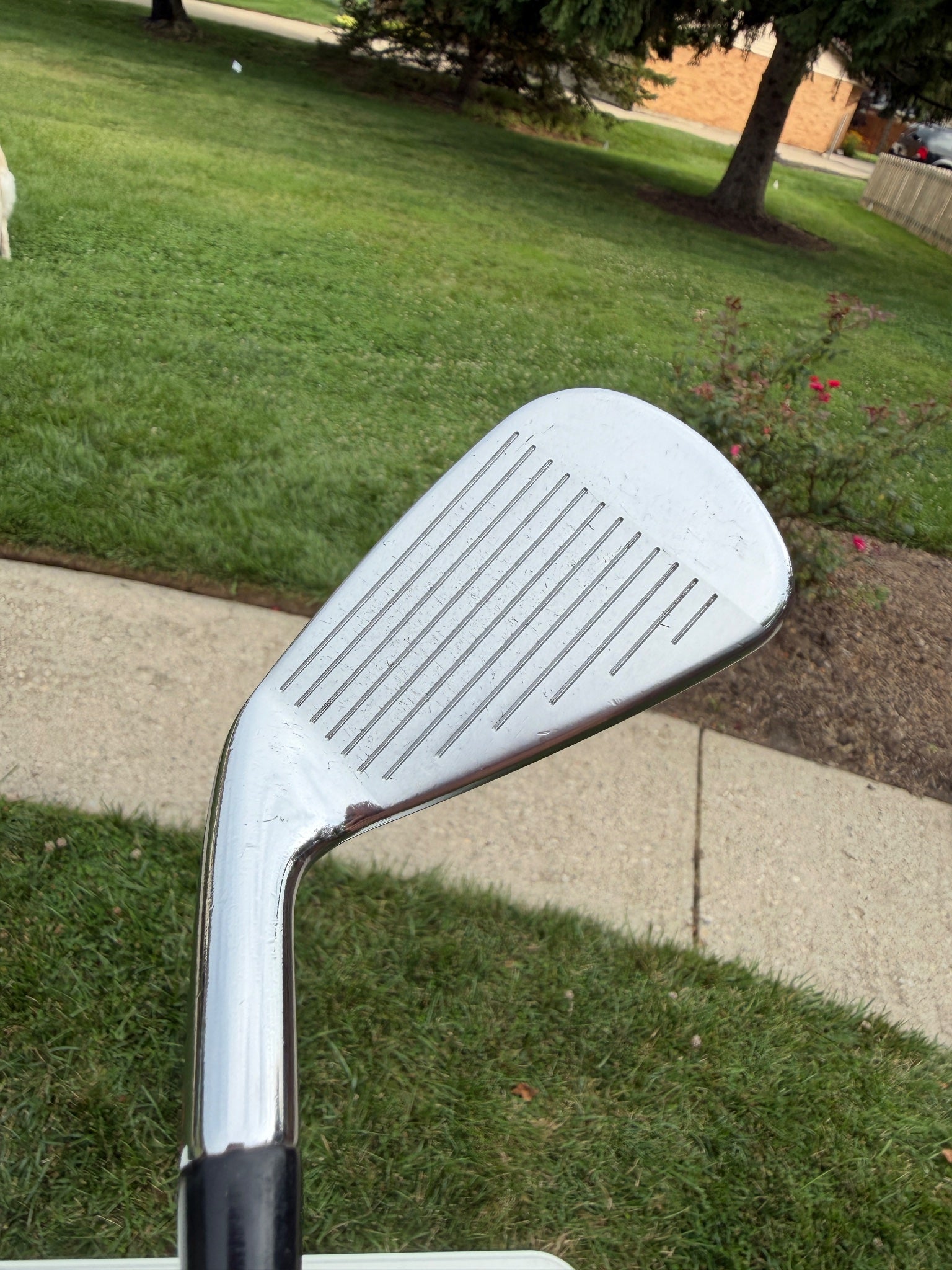 Titleist 710 AP2 Iron Set 3-PW Project X Rifle 5.5 Regular Flex +1/2" NICE — photo 9