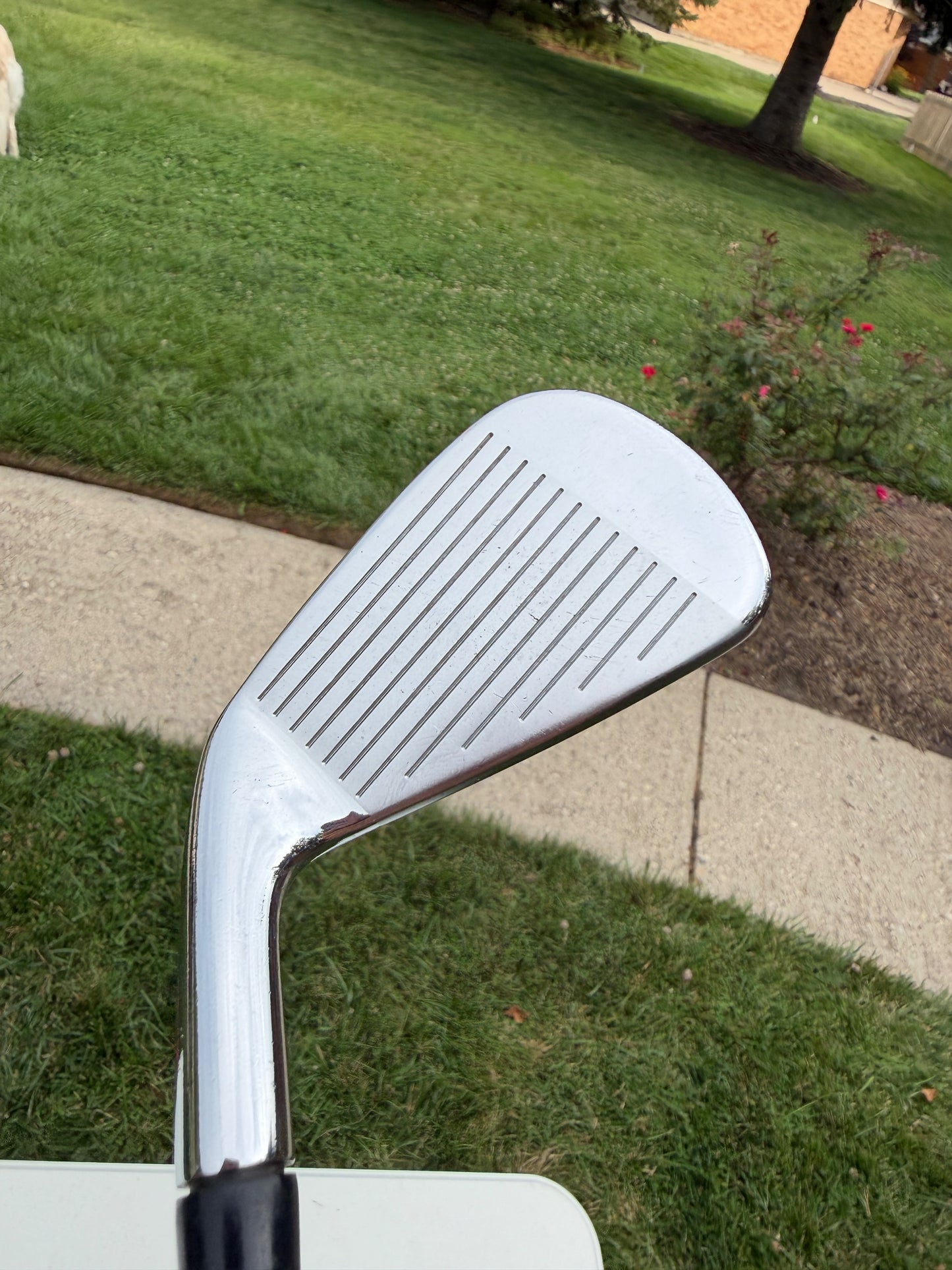 Titleist 710 AP2 Iron Set 3-PW Project X Rifle 5.5 Regular Flex +1/2" NICE — photo 10
