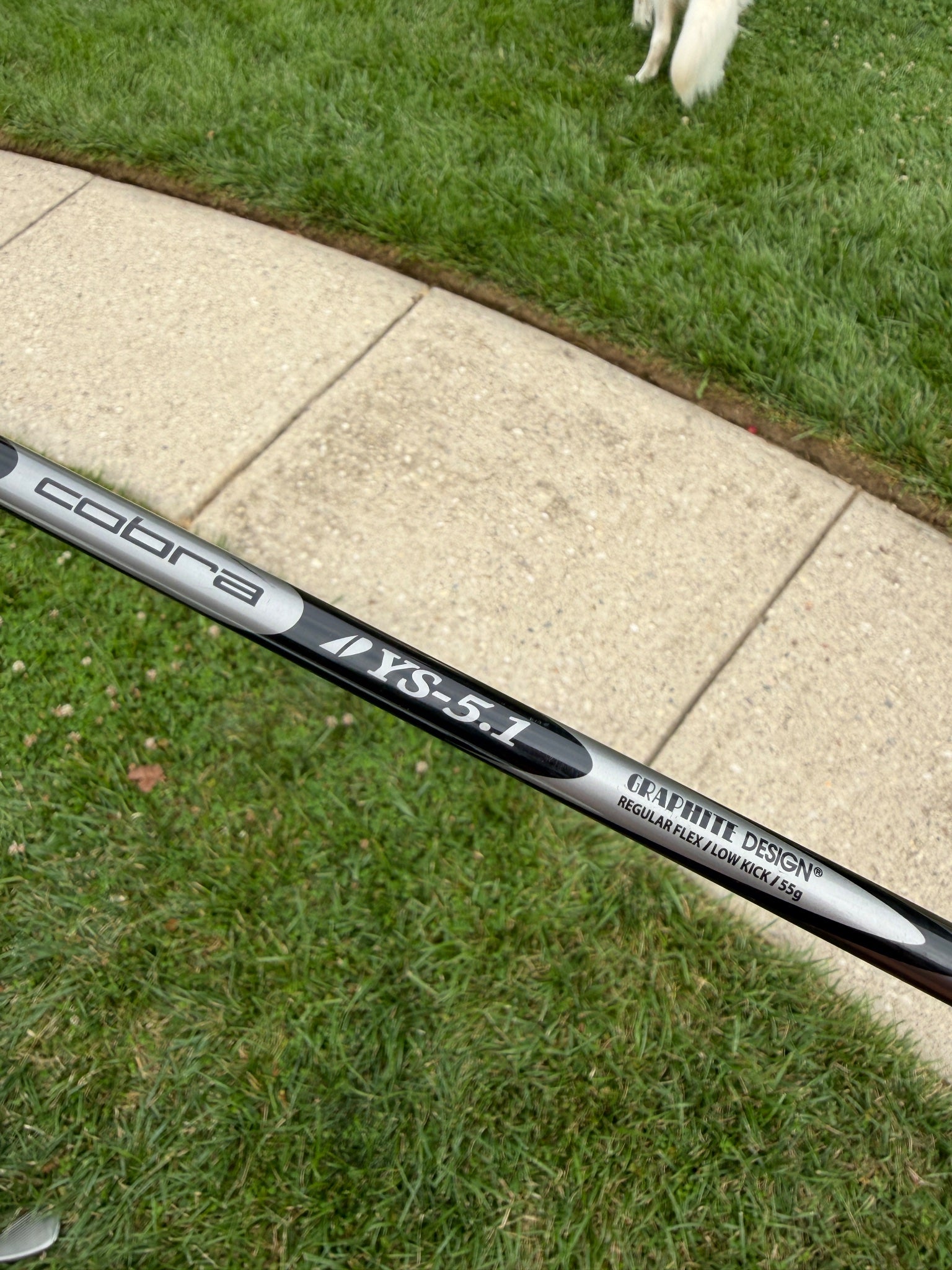 Cobra 3400 I/XH Gap Wedge Graphite Design YS-5.1 Regular Flex 35.75" NICE — photo 5
