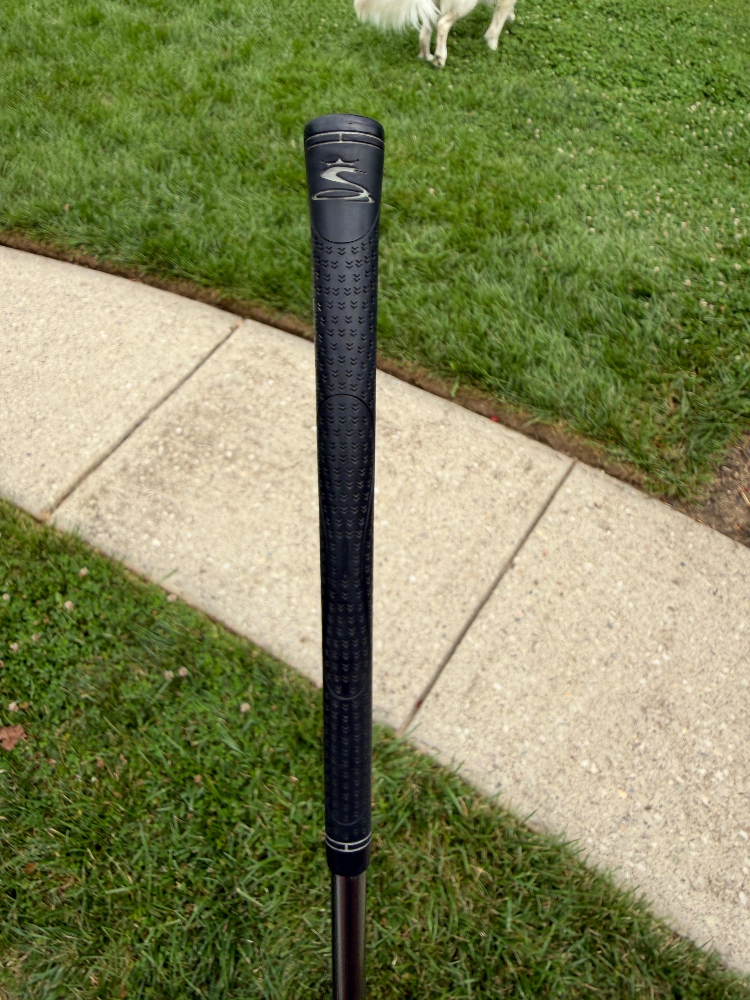 Cobra 3400 I/XH Gap Wedge Graphite Design YS-5.1 Regular Flex 35.75" NICE — photo 6