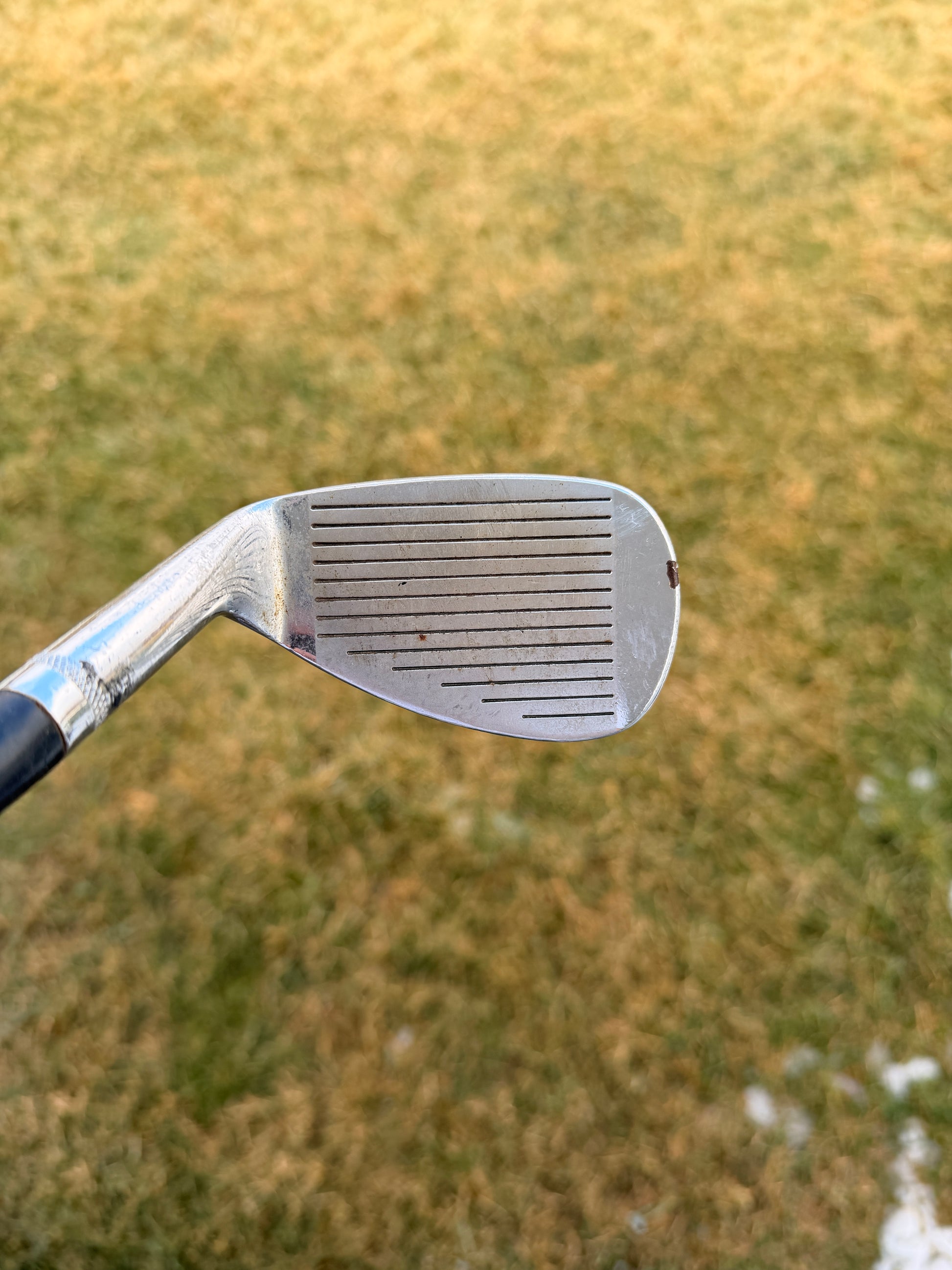 Photo of Palmer The Standard UpnDown Wedge Wedge Flex Dynamic Gold