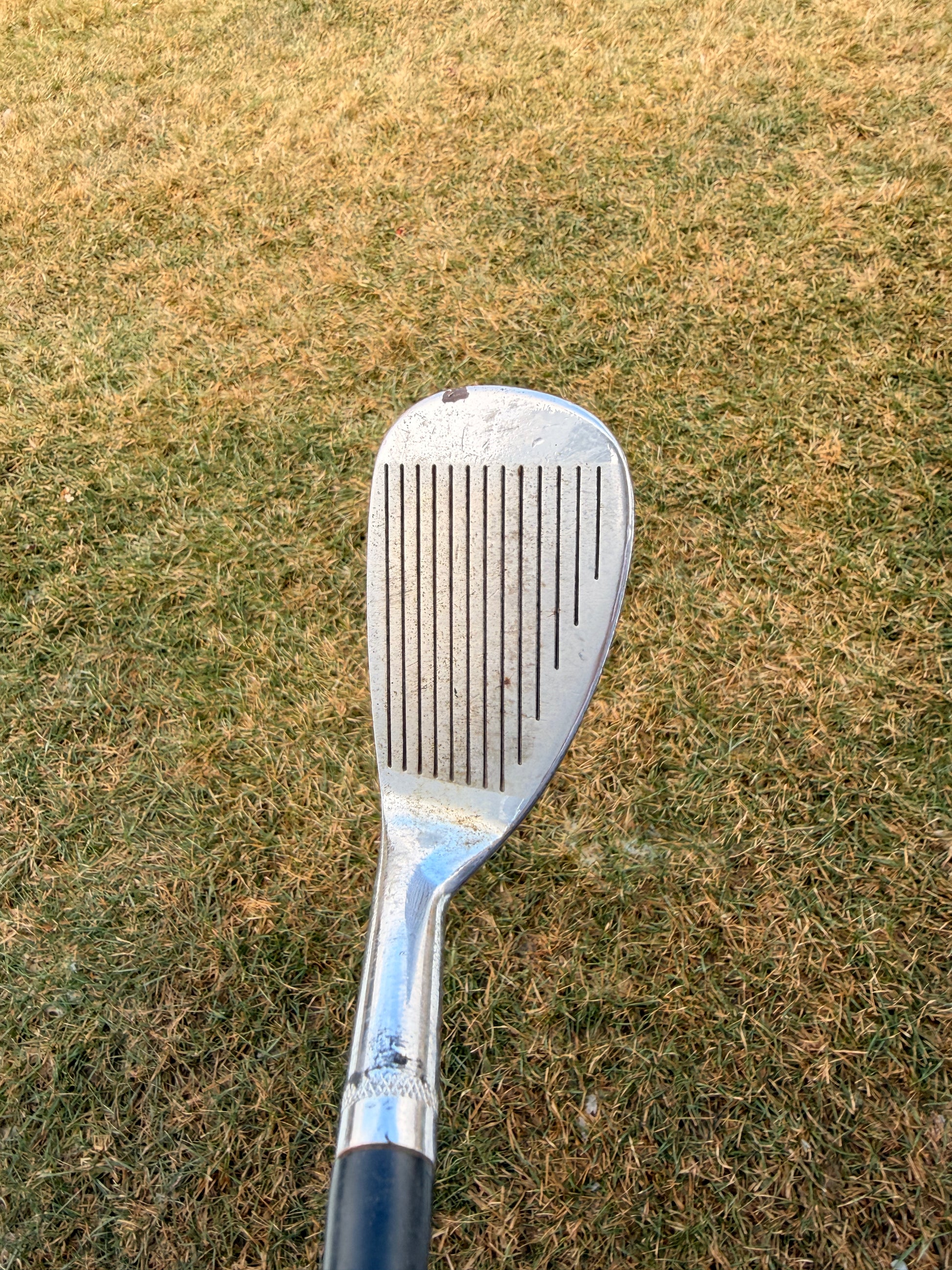 Photo of Palmer The Standard UpnDown Wedge Wedge Flex Dynamic Gold