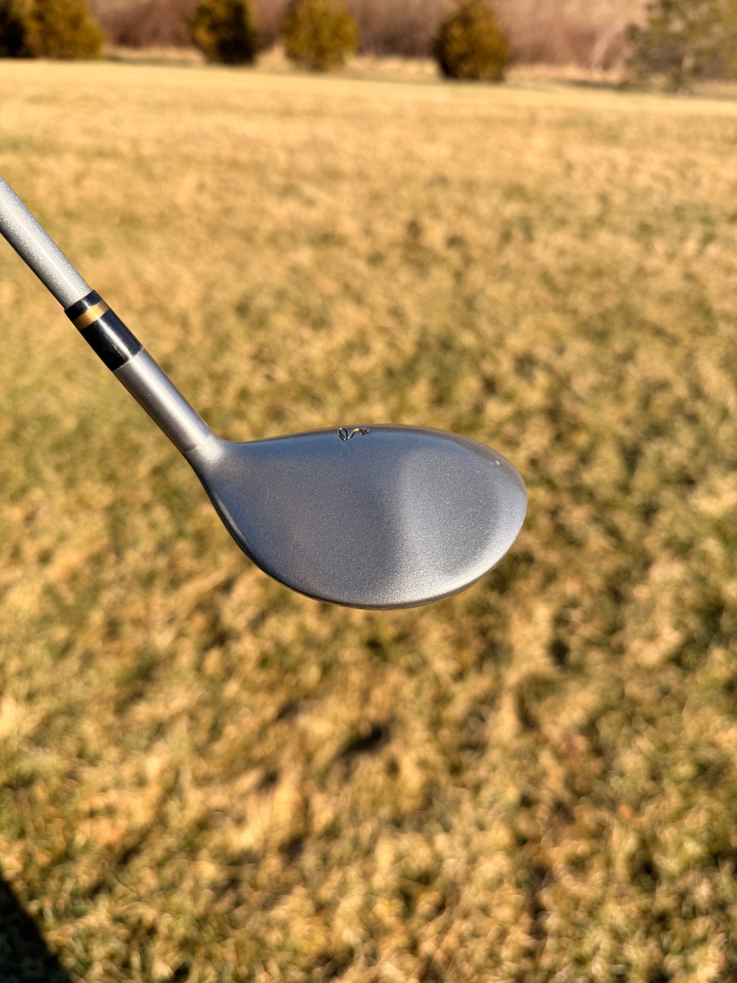 Photo of Cobra King Cobra 3-Wood 14° Stiff Flex Autoclave System