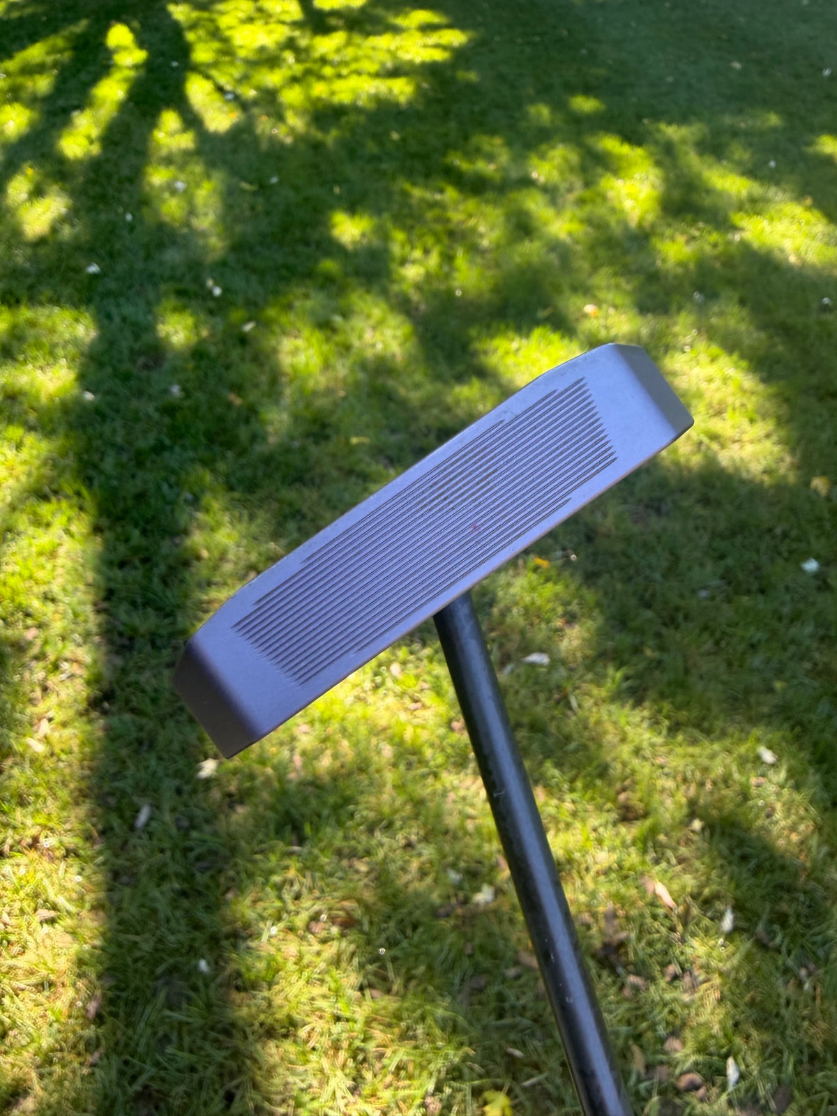 L.A.B. Golf DF3 Putter TPT Upgraded Shaft 34" +HC MINT — photo 2