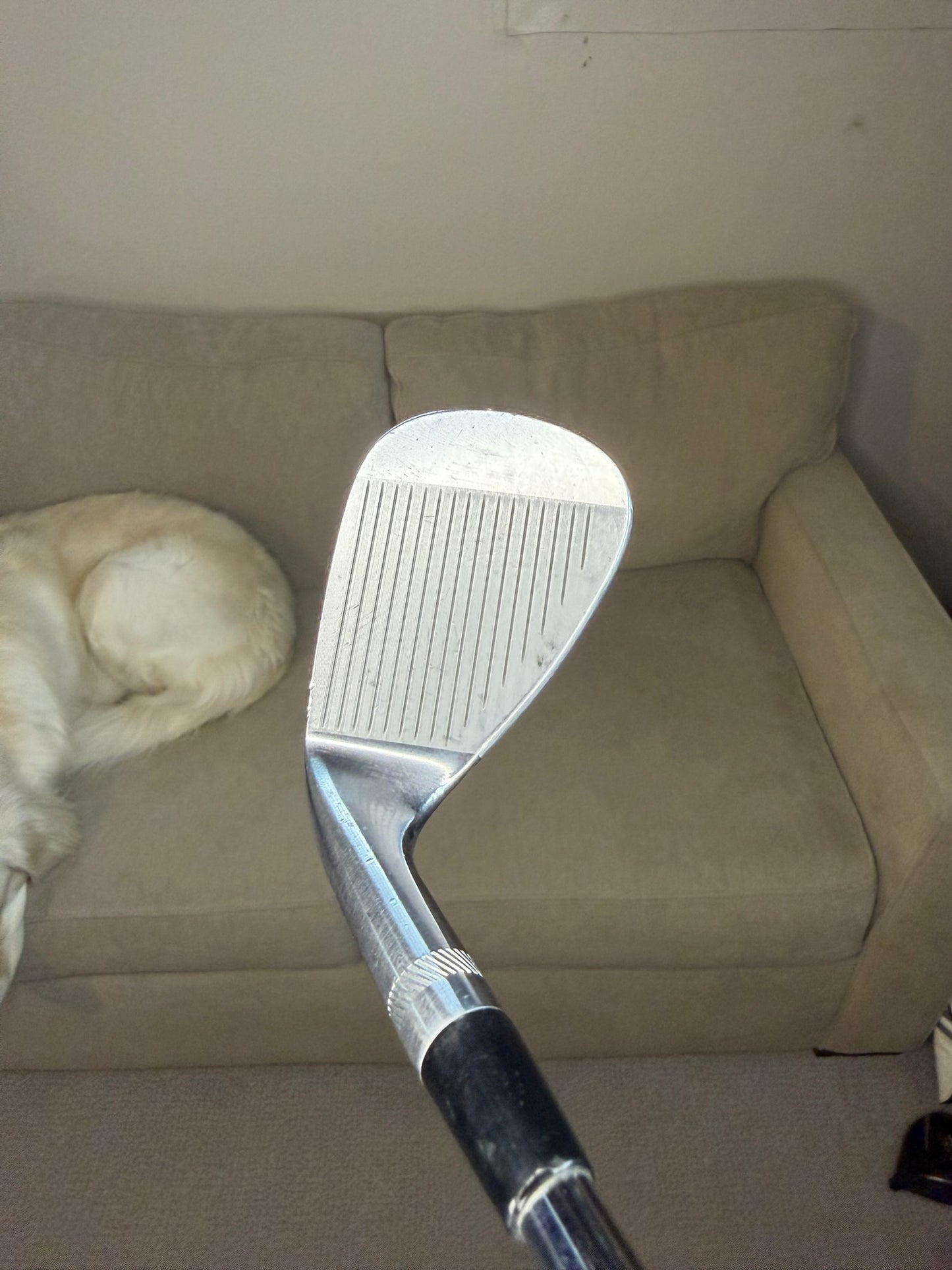 Titleist Vokey SM6 Tour Chrome Gap Wedge 50° / 12 Wedge Flex 36.75″ NICE