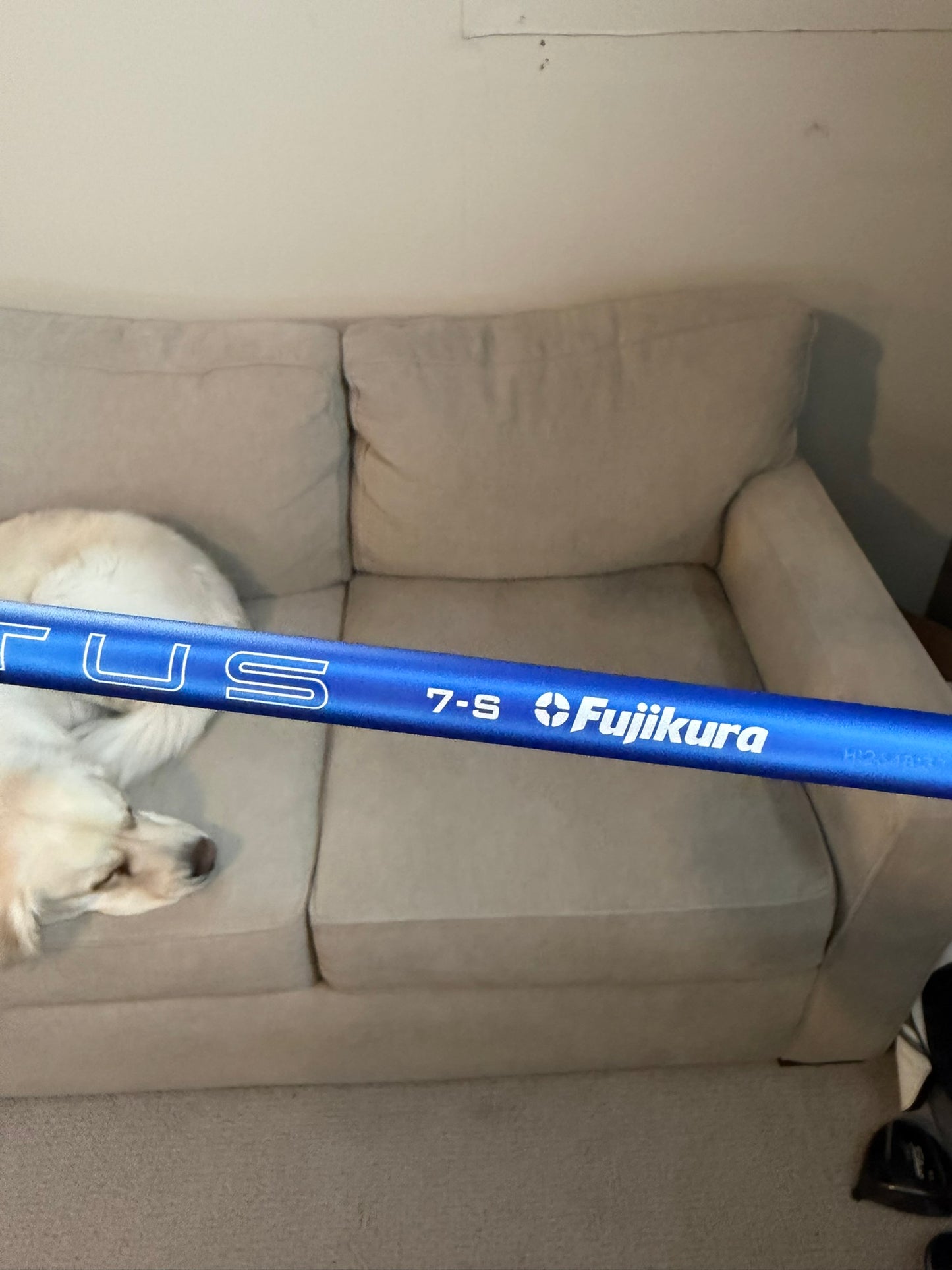 Callaway Elyte Triple Diamond 7-Wood 21° Ventus Blue Velocore+ Stiff 42″ +HC