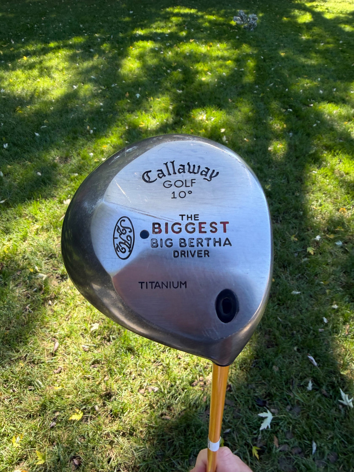 Callaway Biggest Big Bertha Driver 10° ProForce Gold 65 Regular Flex 45" NICE