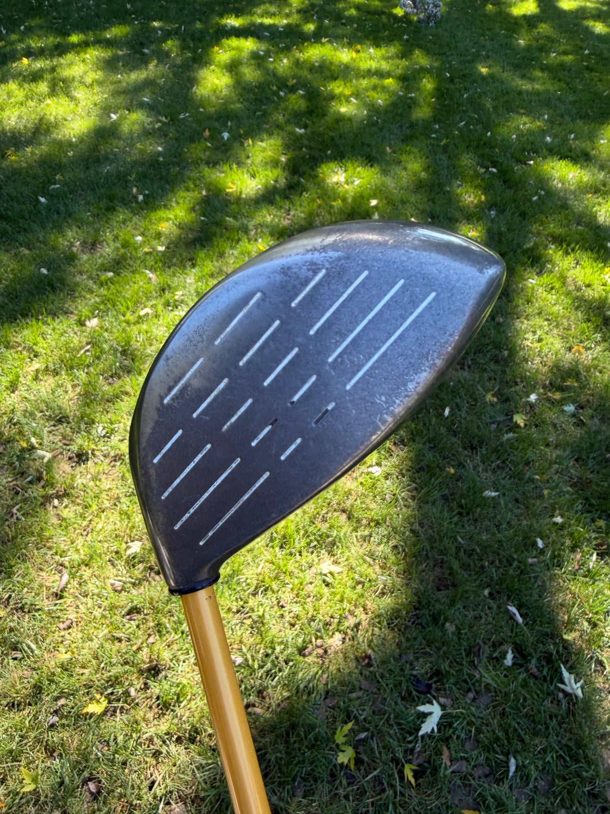 Callaway Biggest Big Bertha Driver 10° ProForce Gold 65 Regular Flex 45" NICE — photo 2