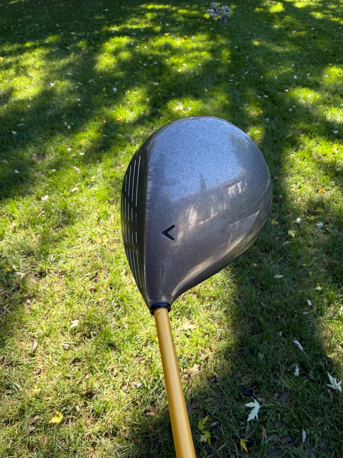 Callaway Biggest Big Bertha Driver 10° ProForce Gold 65 Regular Flex 45" NICE — photo 3