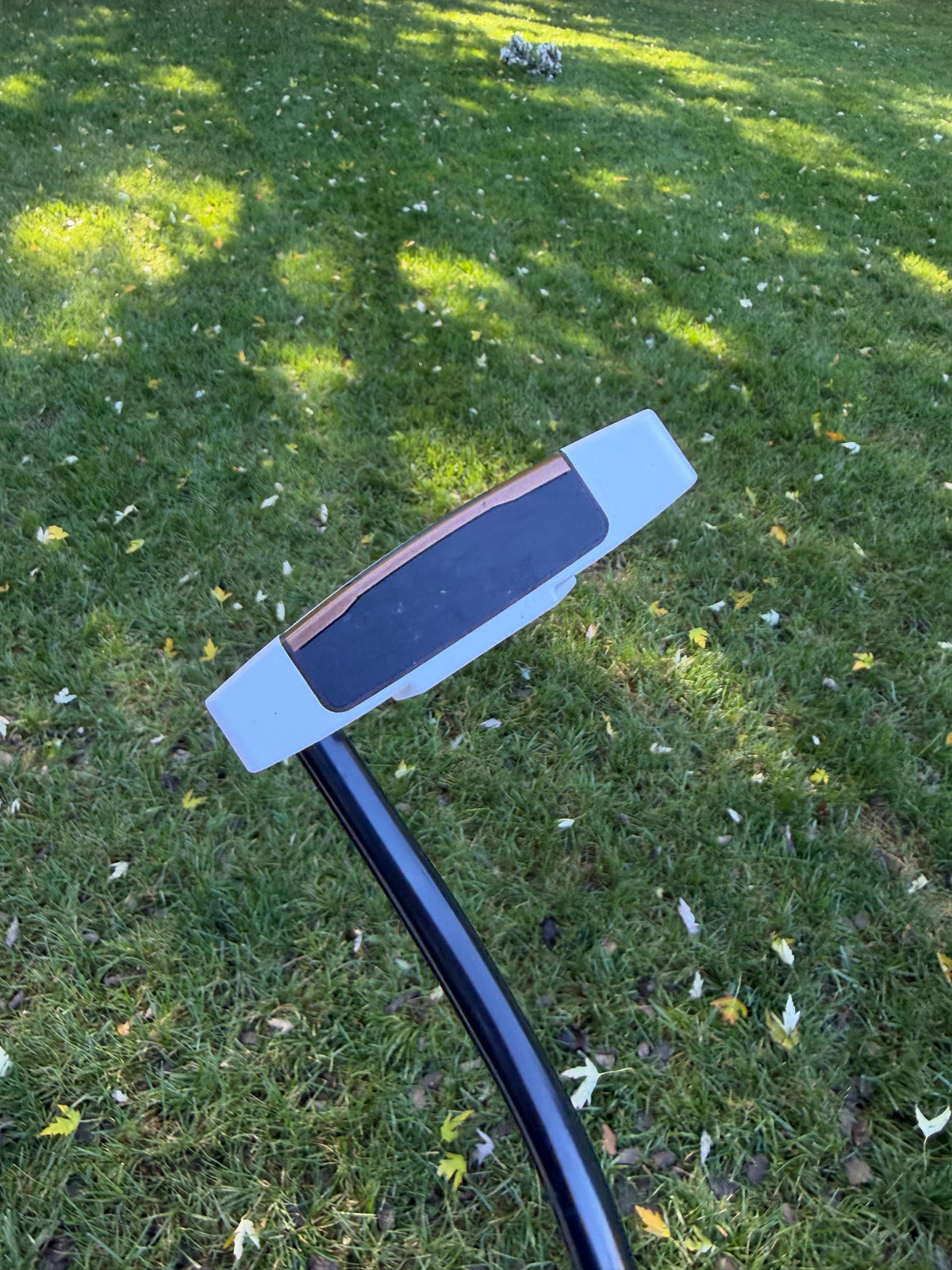 Ping Scottsdale TEC Hayden Putter Black Dot 35" +HC NICE — photo 2