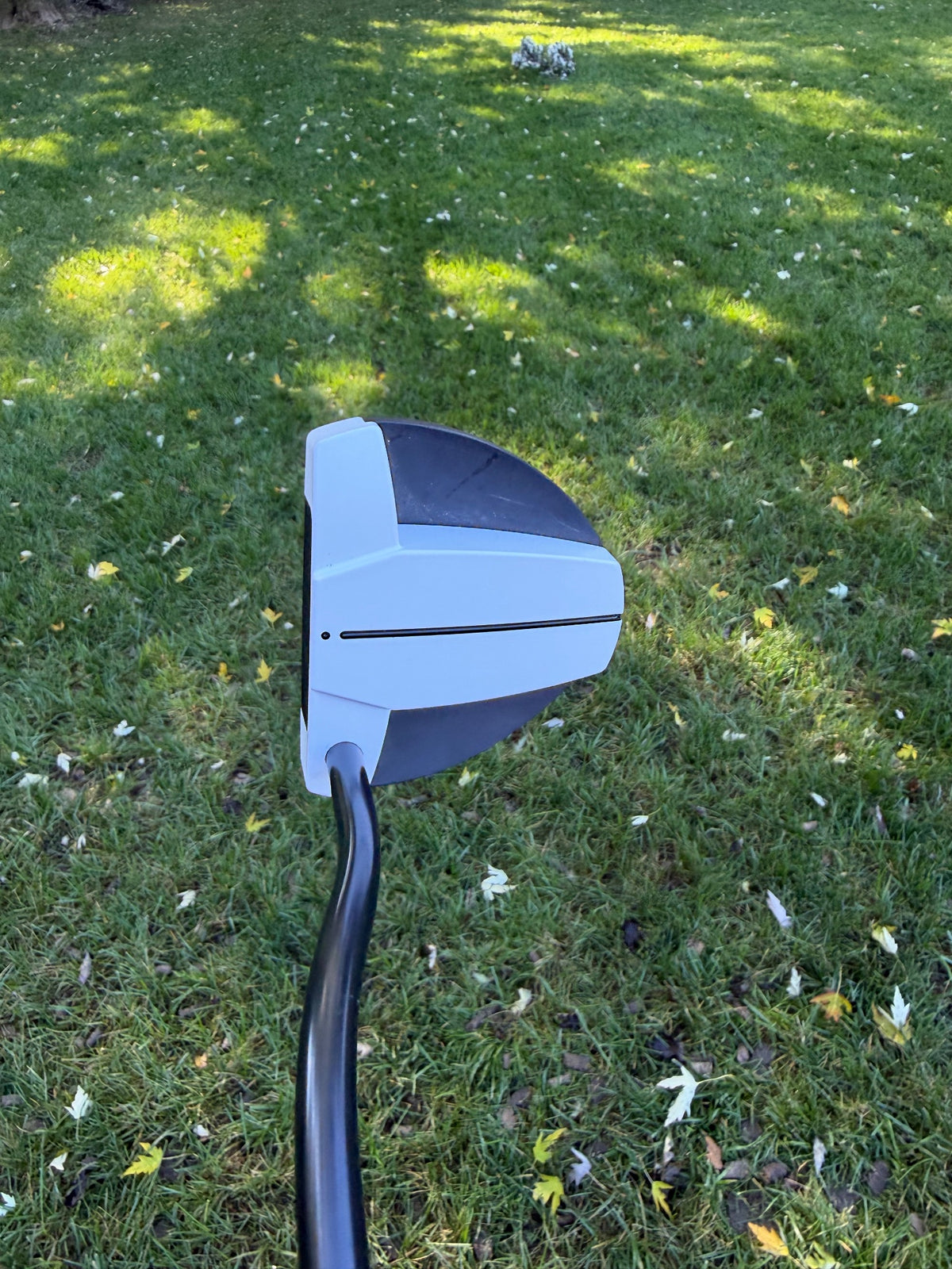 Ping Scottsdale TEC Hayden Putter Black Dot 35" +HC NICE — photo 3