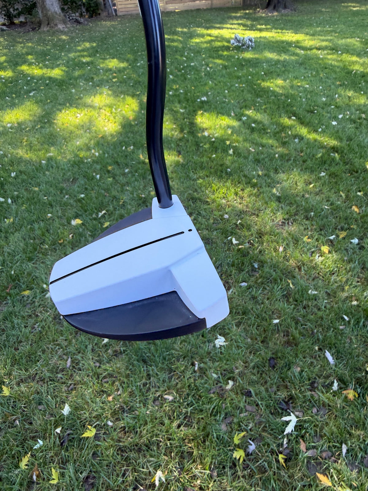 Ping Scottsdale TEC Hayden Putter Black Dot 35" +HC NICE — photo 6