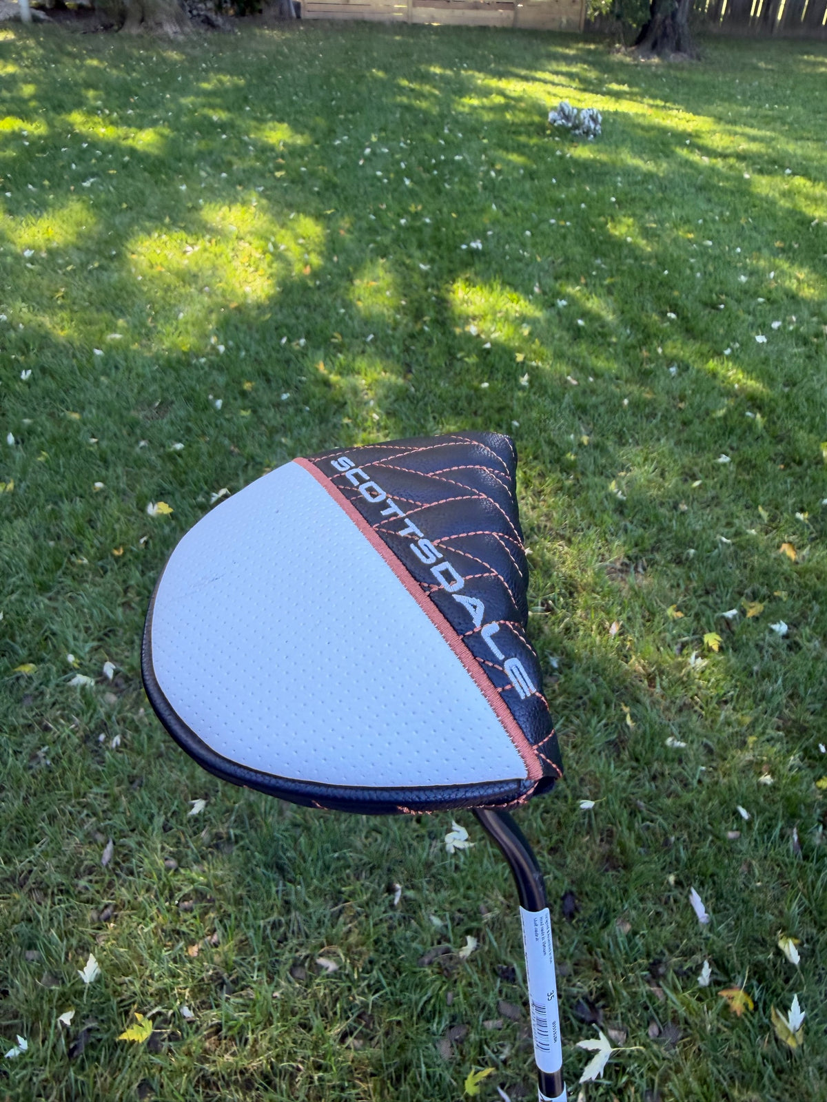 Ping Scottsdale TEC Hayden Putter Black Dot 35" +HC NICE — photo 11