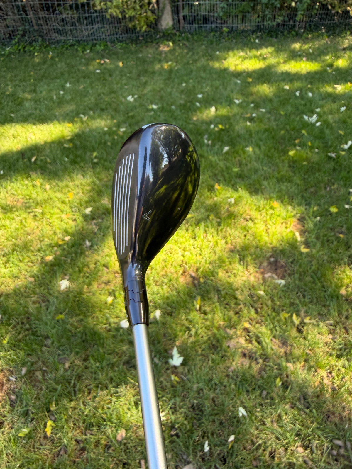 Callaway Quantum Max 4 Hybrid 21° Denali Silver Regular Flex 40" +HC NICE — photo 3