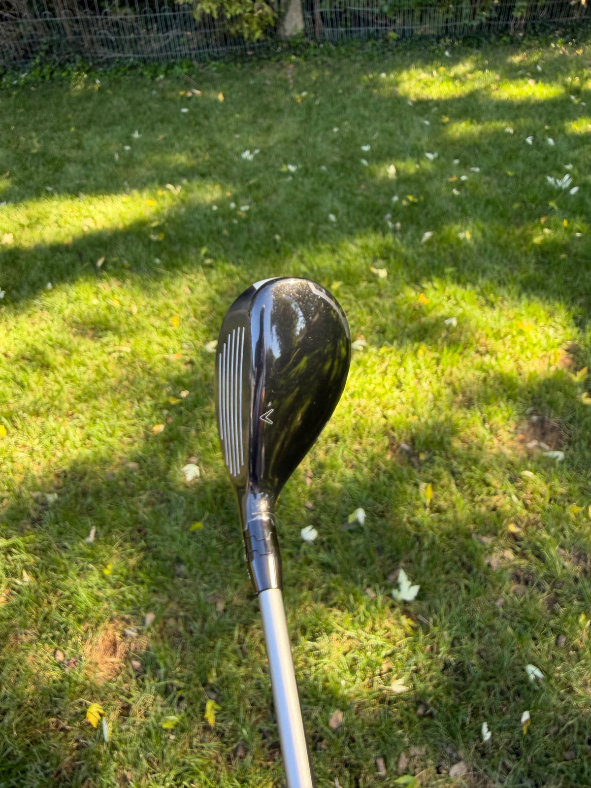 Callaway Quantum Max 4 Hybrid 21° Denali Silver Stiff Flex 40" +HC MINT — photo 3